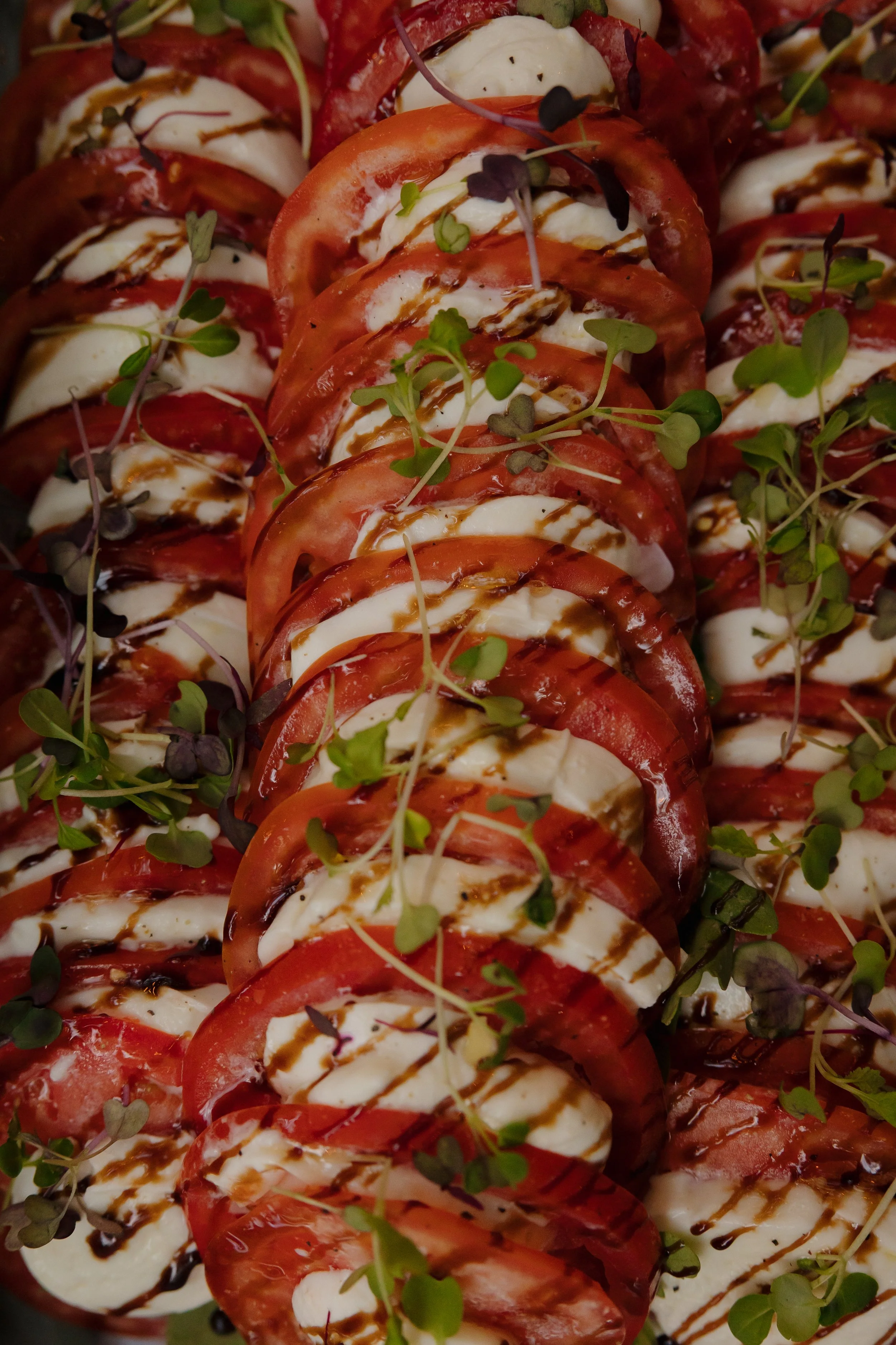 Emma van Bergen Photography - Brooke_Max_9_19_25-024.jpg