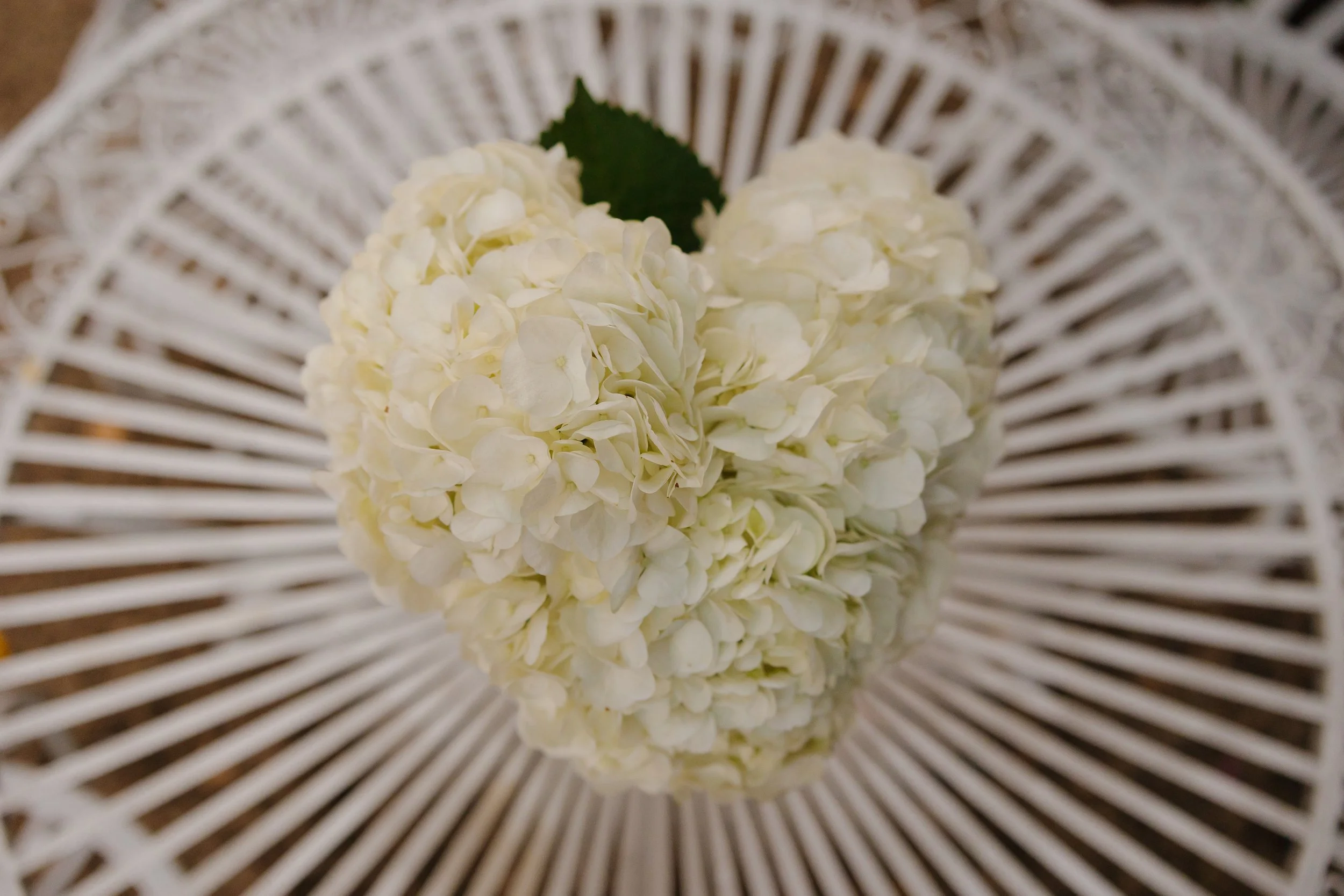 Emma van Bergen Photography - Brooke_Max_9_19_25-009.jpg