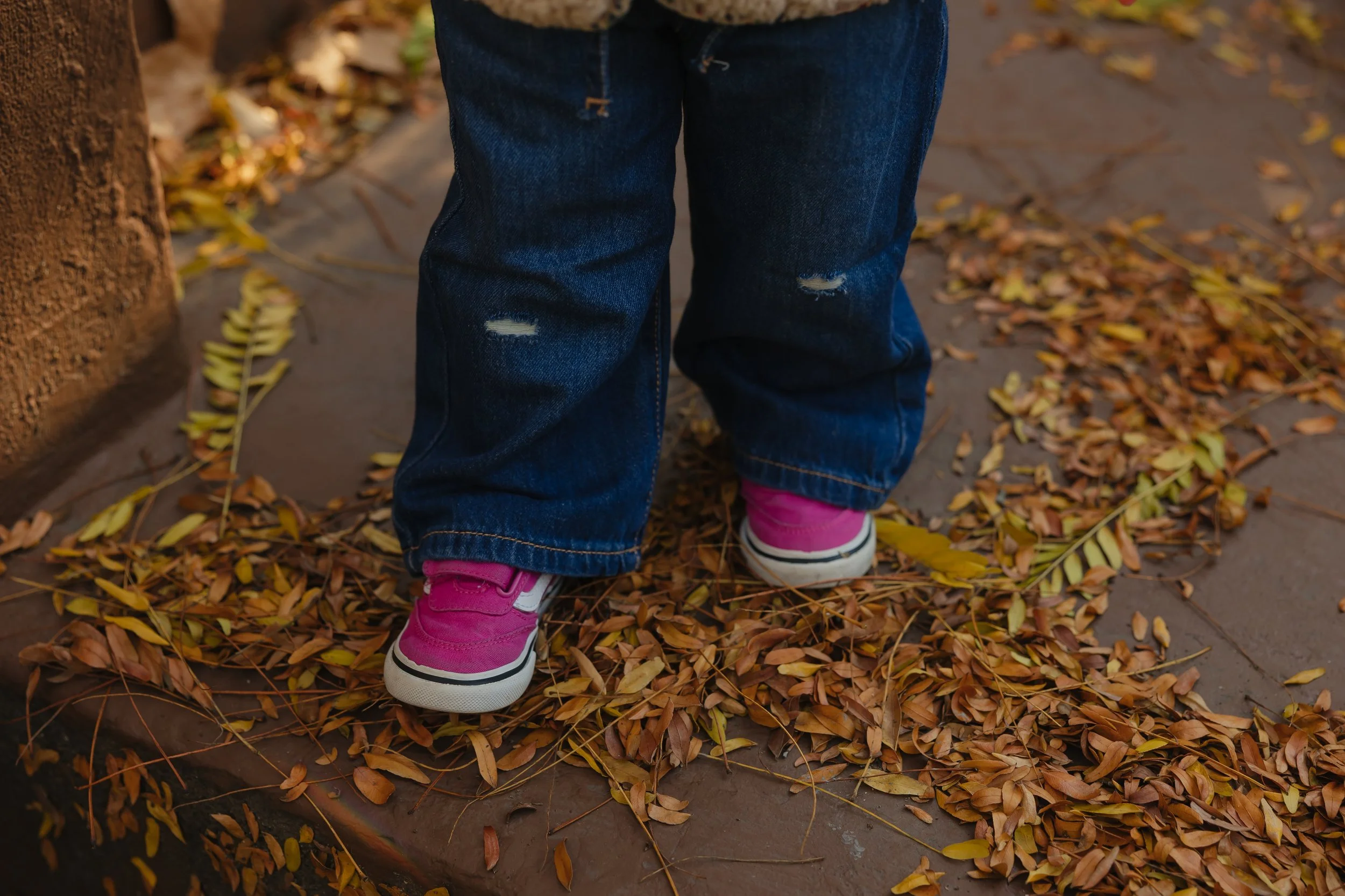 Emma van Bergen Photography - Fischer_11_2_25-057.jpg