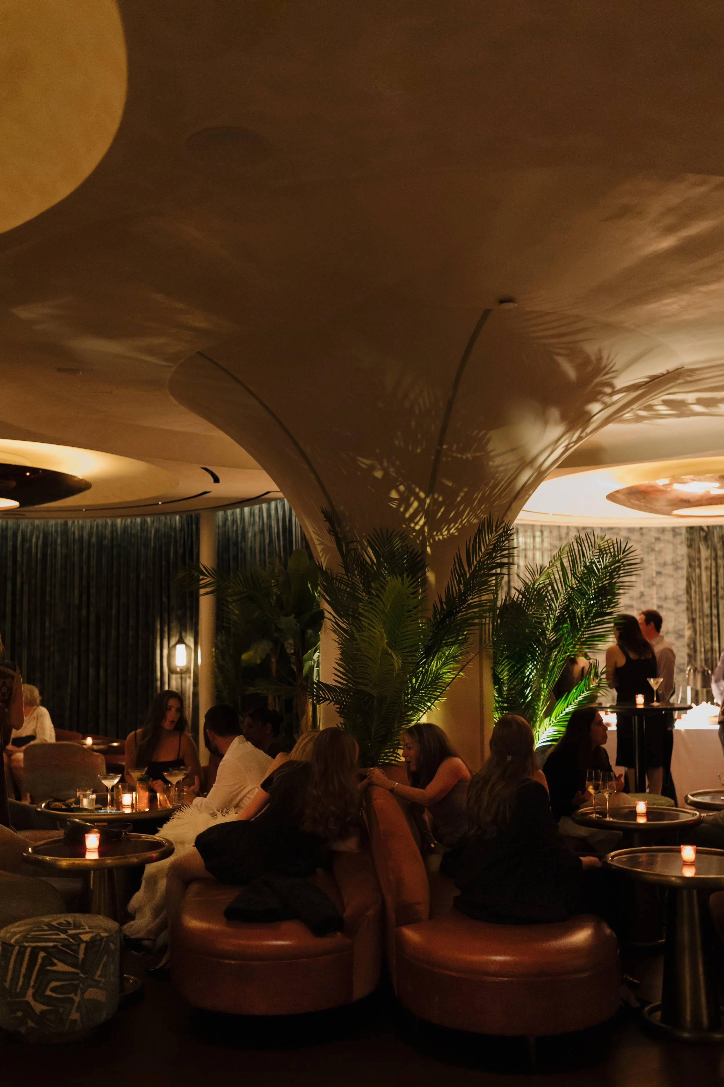 Emma van Bergen Photography - Lassen_10_4_25-191.jpg