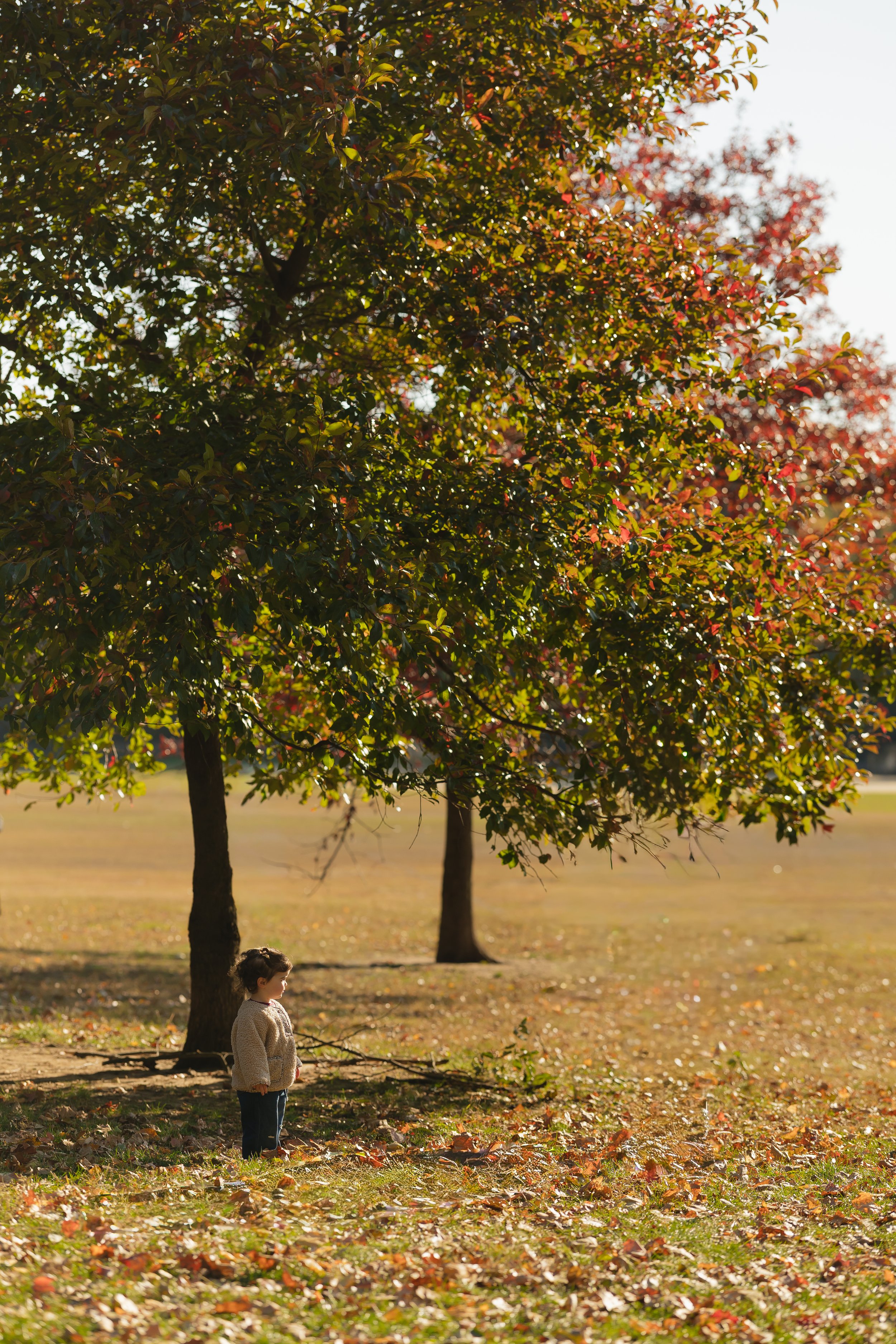 Emma van Bergen Photography - Fischer_11_2_25-083.jpg