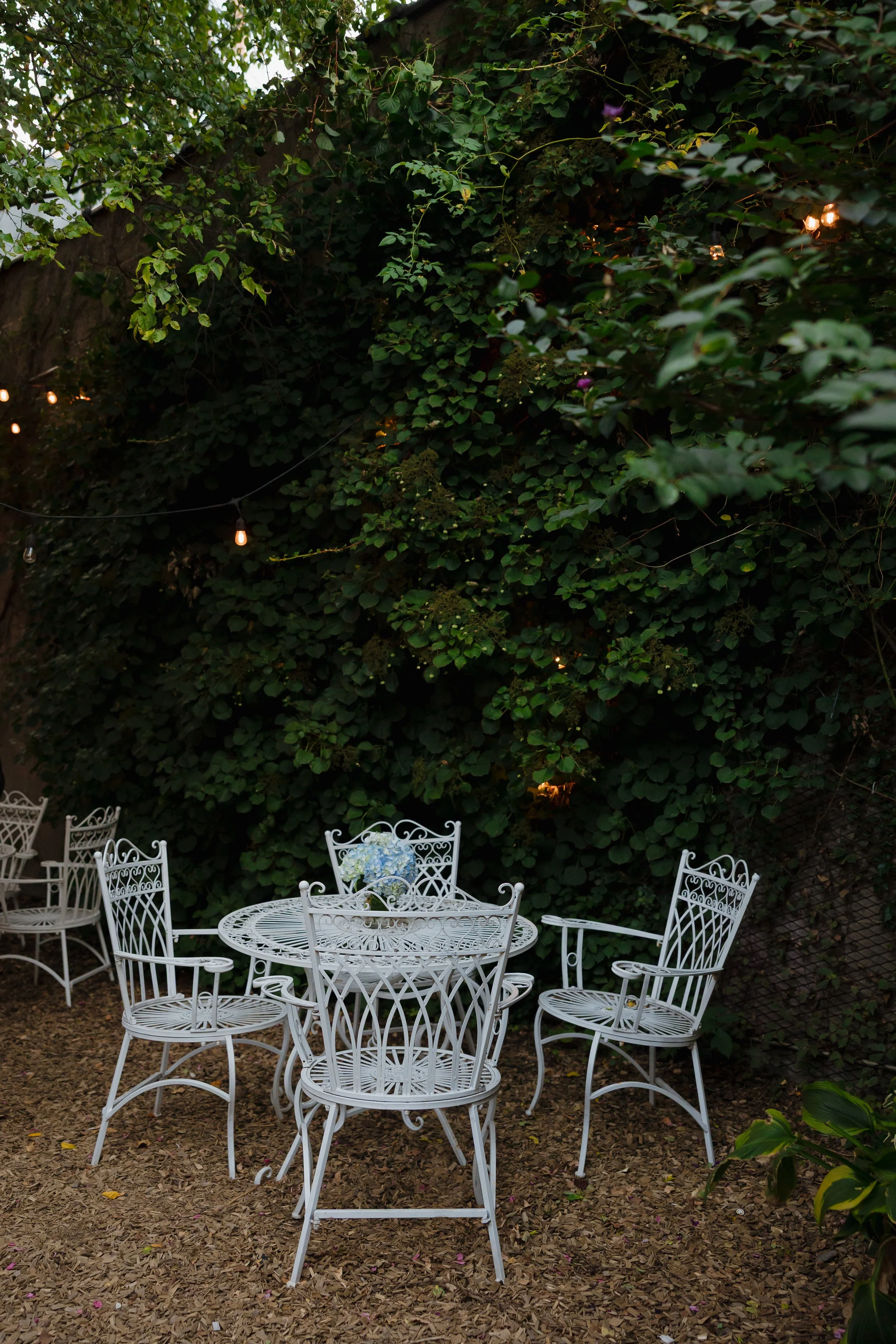 Emma van Bergen Photography - Brooke_Max_9_19_25-006.jpg