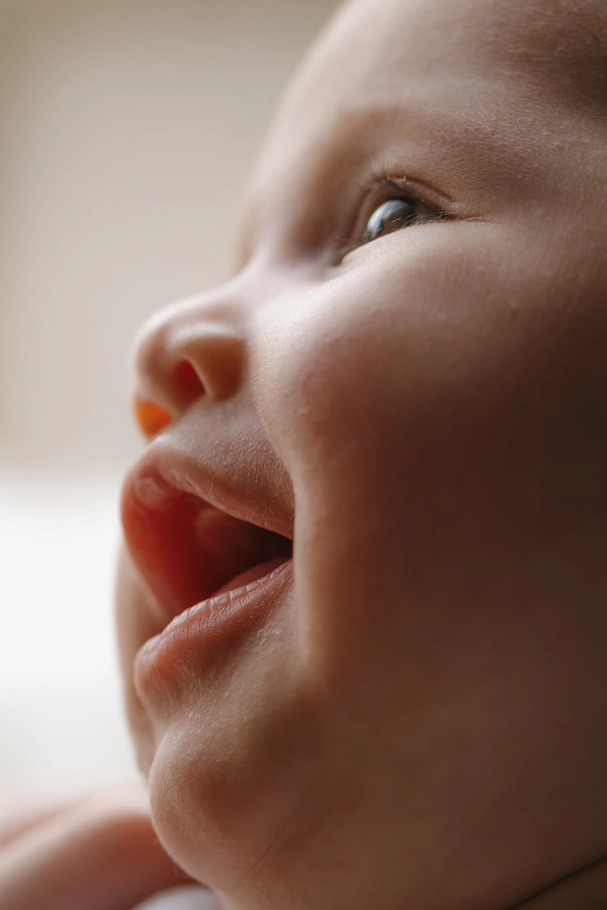 Emma van Bergen Photography - Aboodi_3_15_26-119.jpg