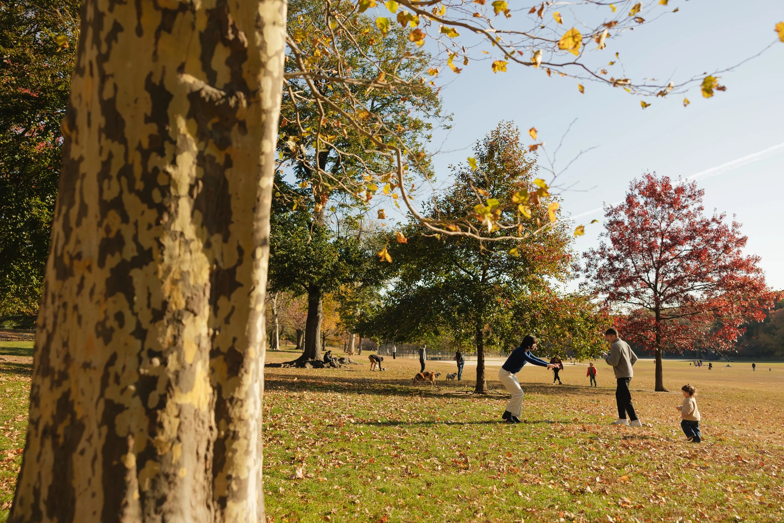 Emma van Bergen Photography - Fischer_11_2_25-082.jpg