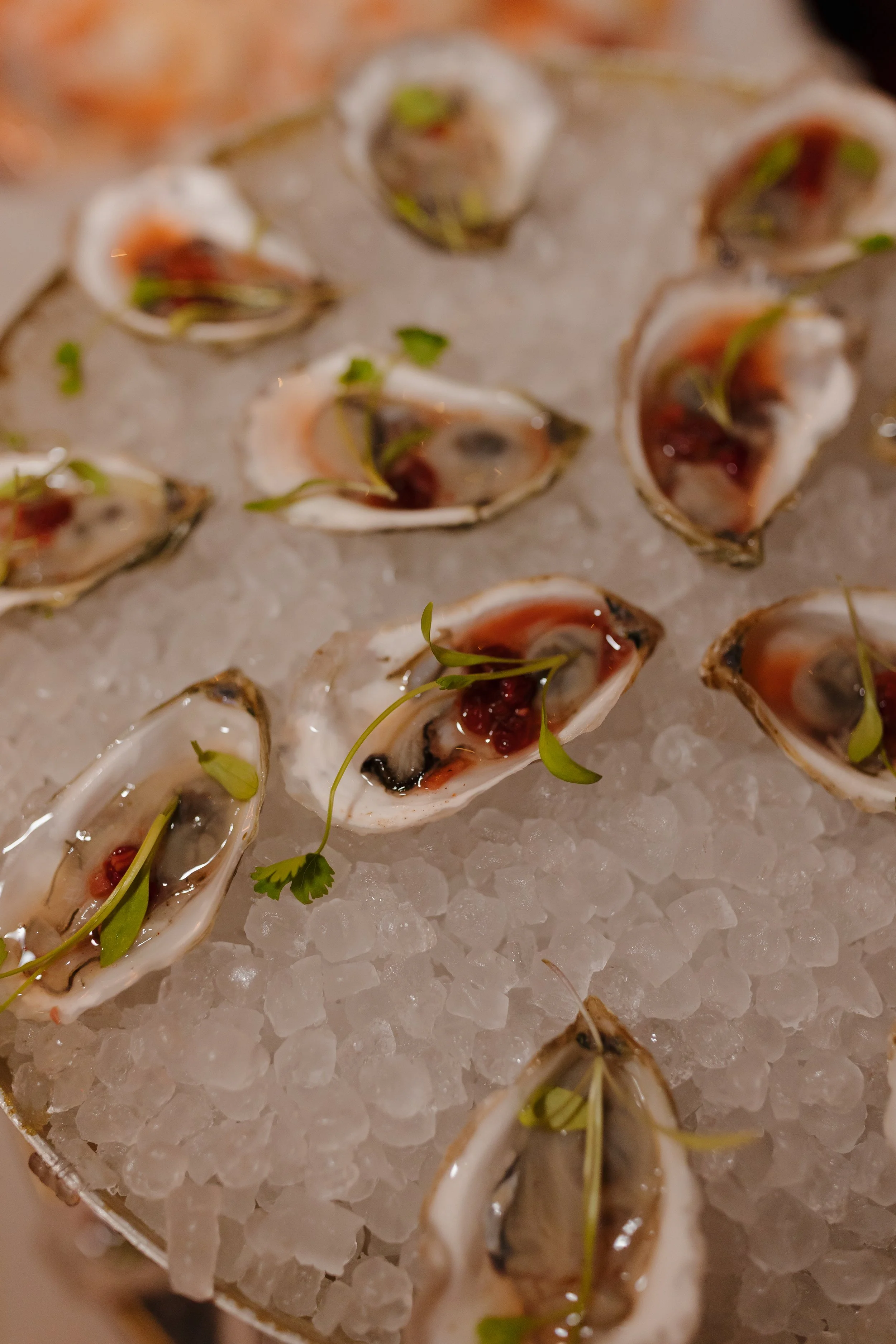 Emma van Bergen Photography - Lassen_10_4_25-082.jpg