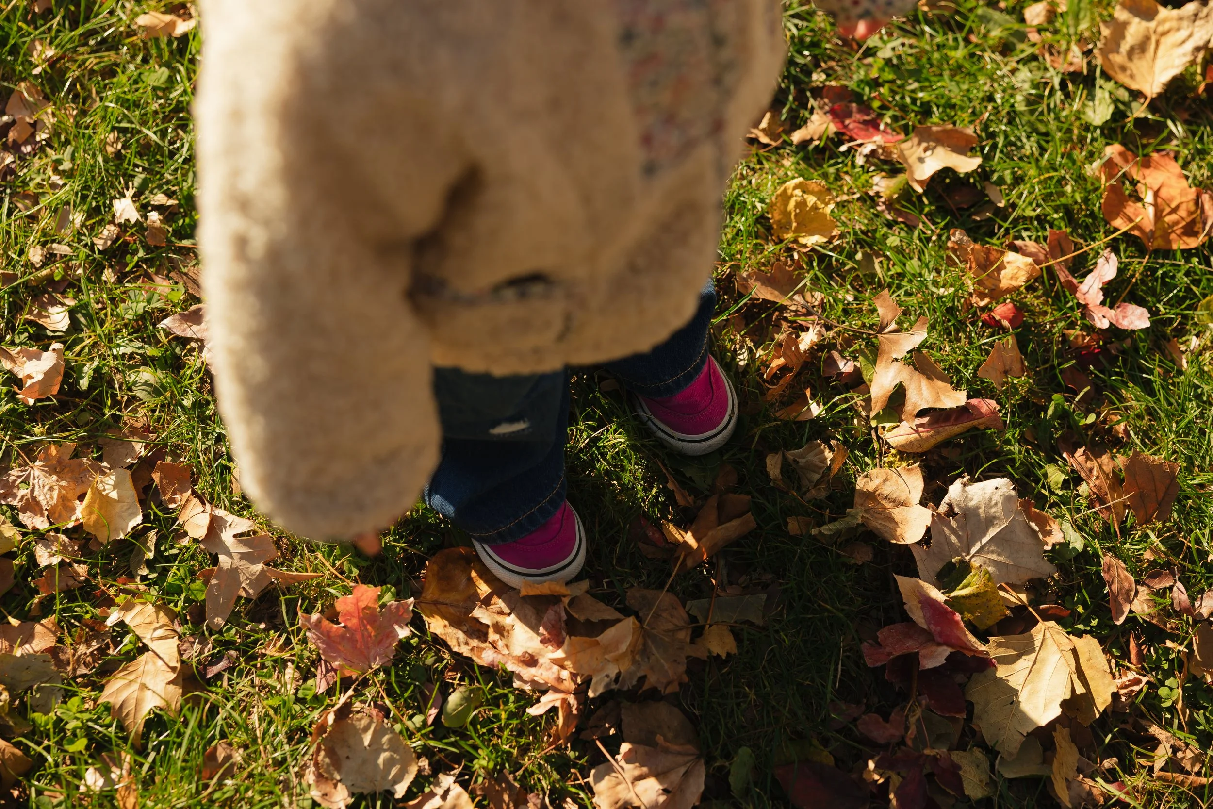 Emma van Bergen Photography - Fischer_11_2_25-086.jpg