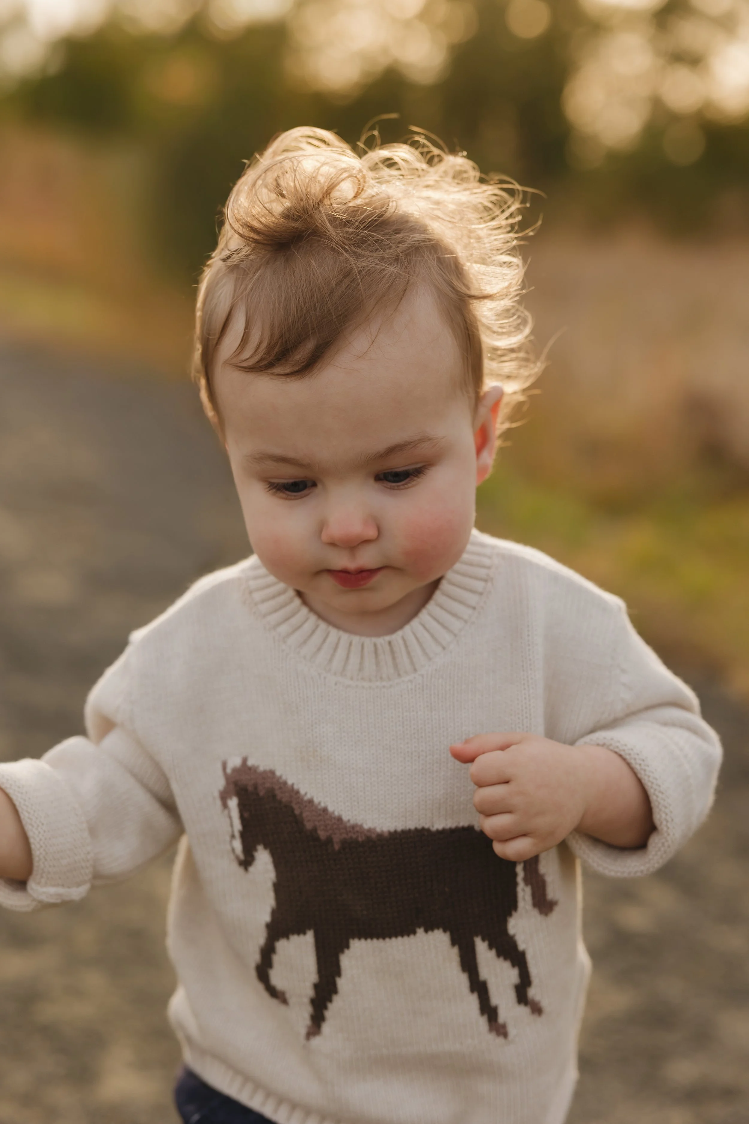 Emma van Bergen Photography - Quinn_10_19_25-081.jpg