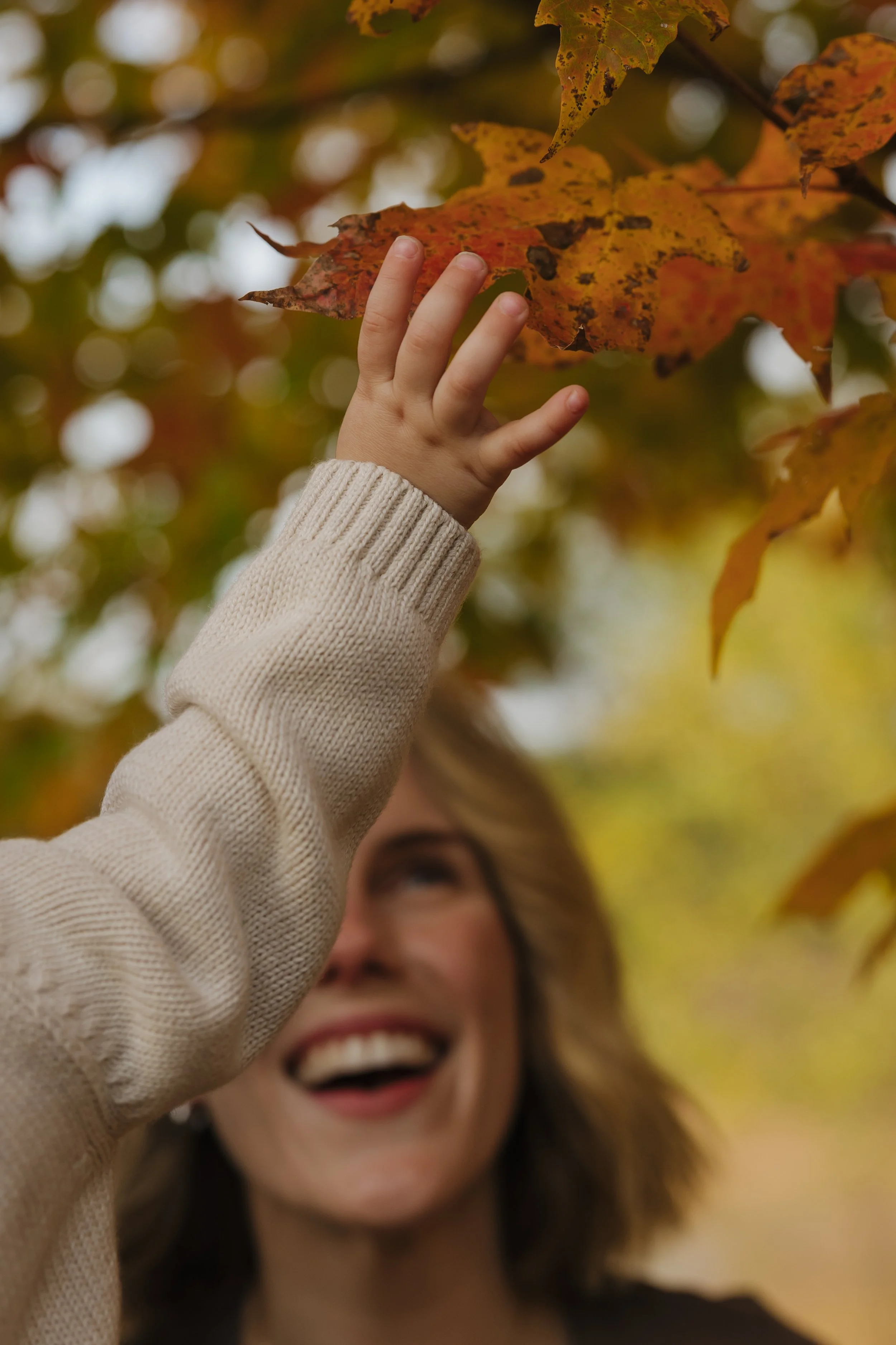 Emma van Bergen Photography - Quinn_10_19_25-046.jpg