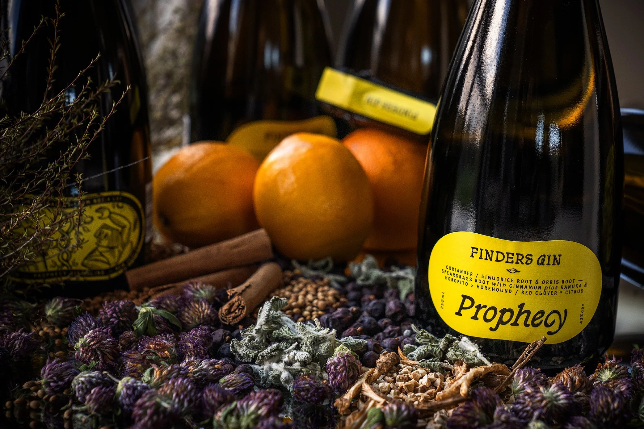 A dark bottle labeled 'Finders Gin Prophecy' among natural herbs, dried flowers, apples, and cinnamon sticks on a rustic surface.