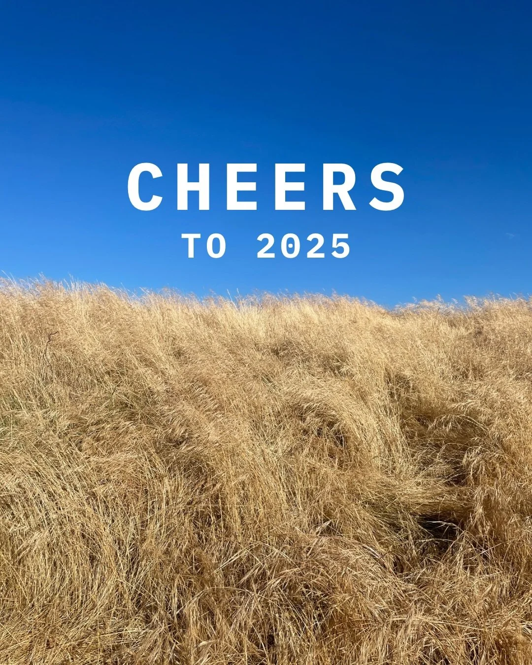 Cheers to 2025 🥂

We&rsquo;re 8 months in, and heck we&rsquo;re having a good time. From markets and tastings to late nights and some cheeky awards - we&rsquo;re incredibly grateful for the support that&rsquo;s helped get us here. 

Thank you for ba