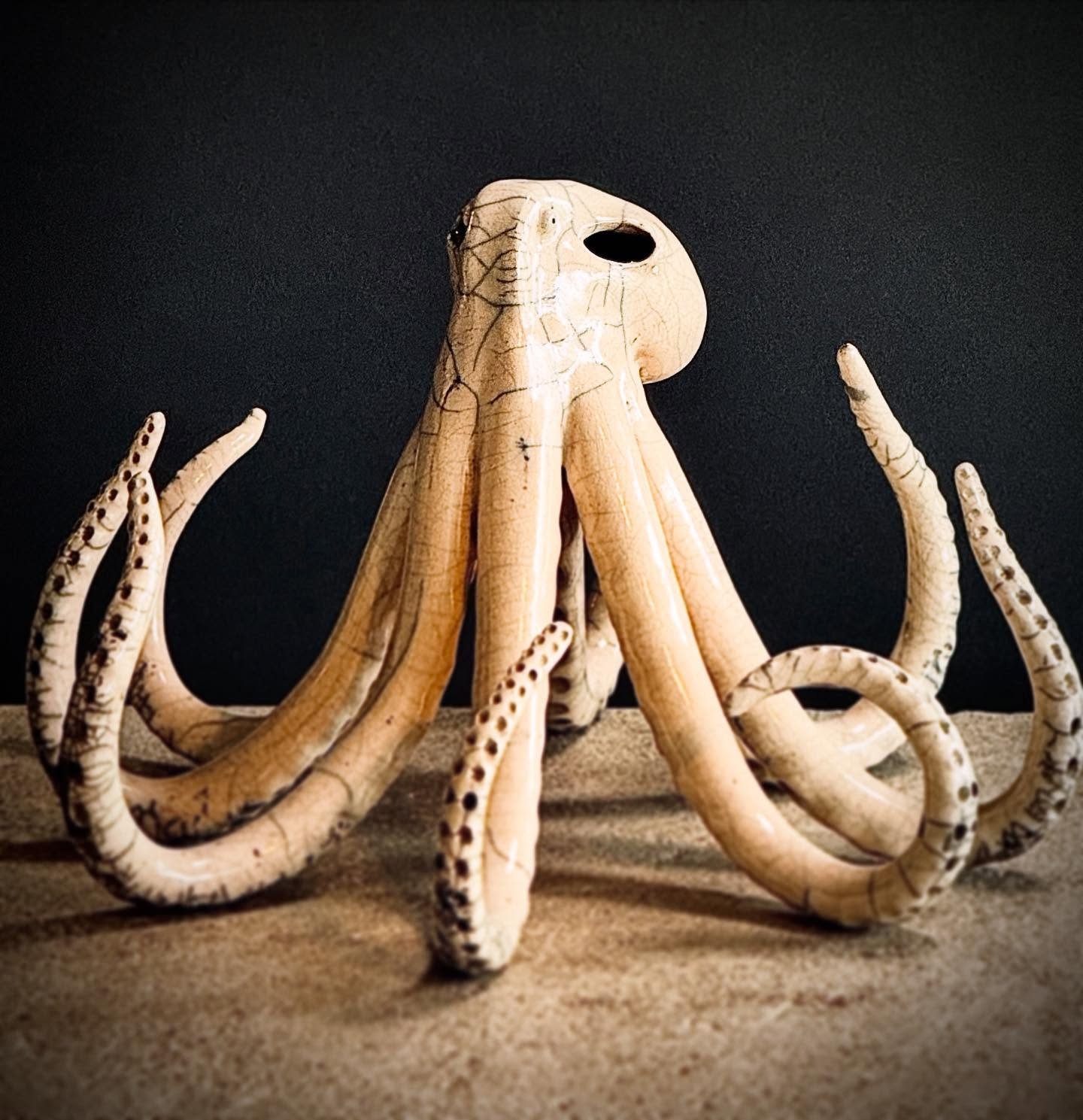 2025 was Cathy&rsquo;s Year of the Octopus 🐙

Today was the first day back in the studio and in full experiment mode. This time of year is for trying new ideas, getting a little weird, and seeing what sticks. Tentacles may appear or new sea creature