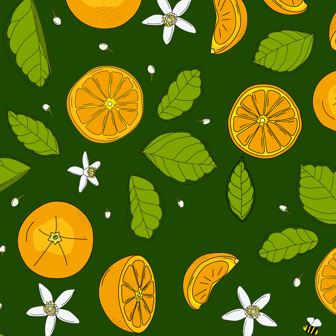 Orange-1080x1080-z copy 2.png