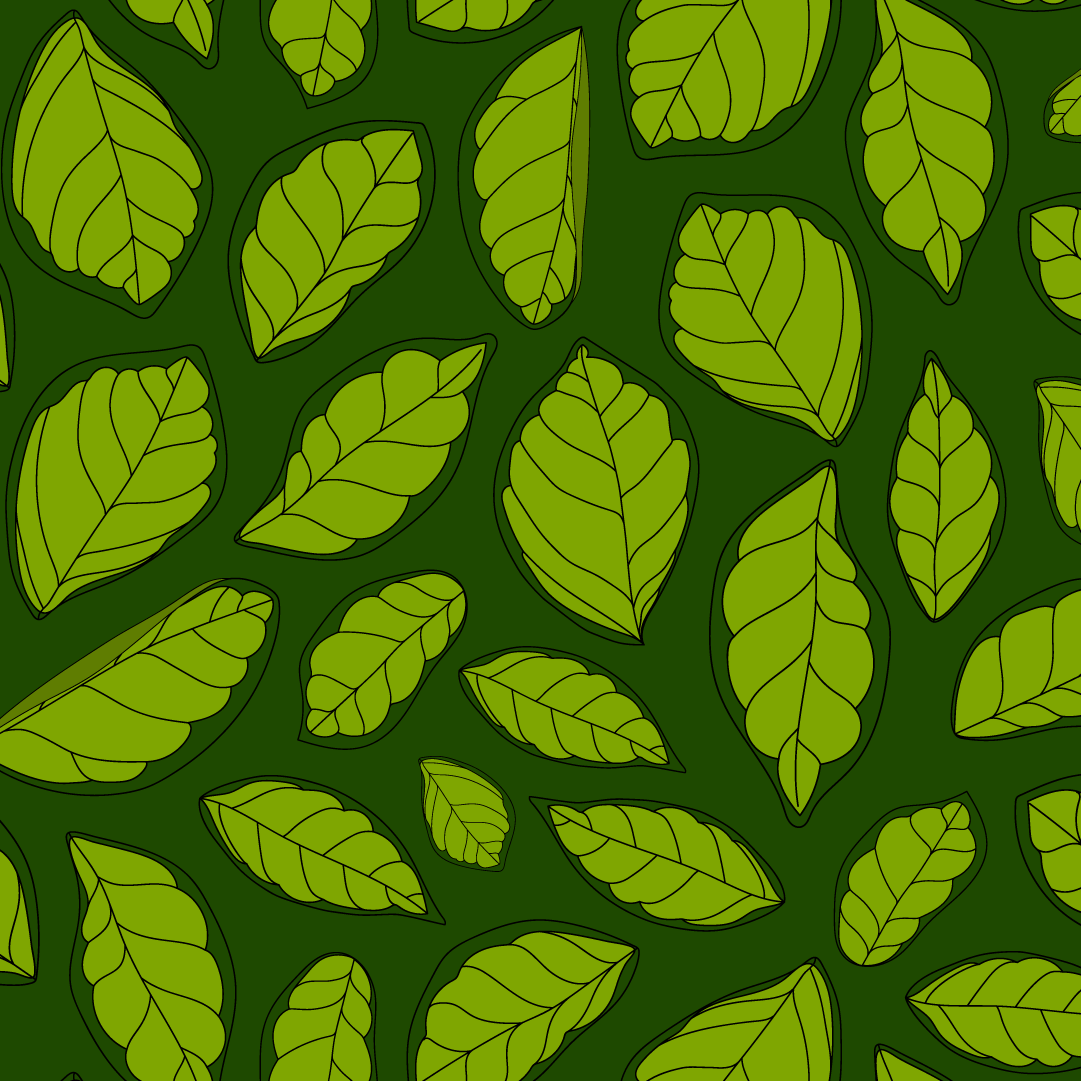 Orange-1080x1080-z copy 8.png