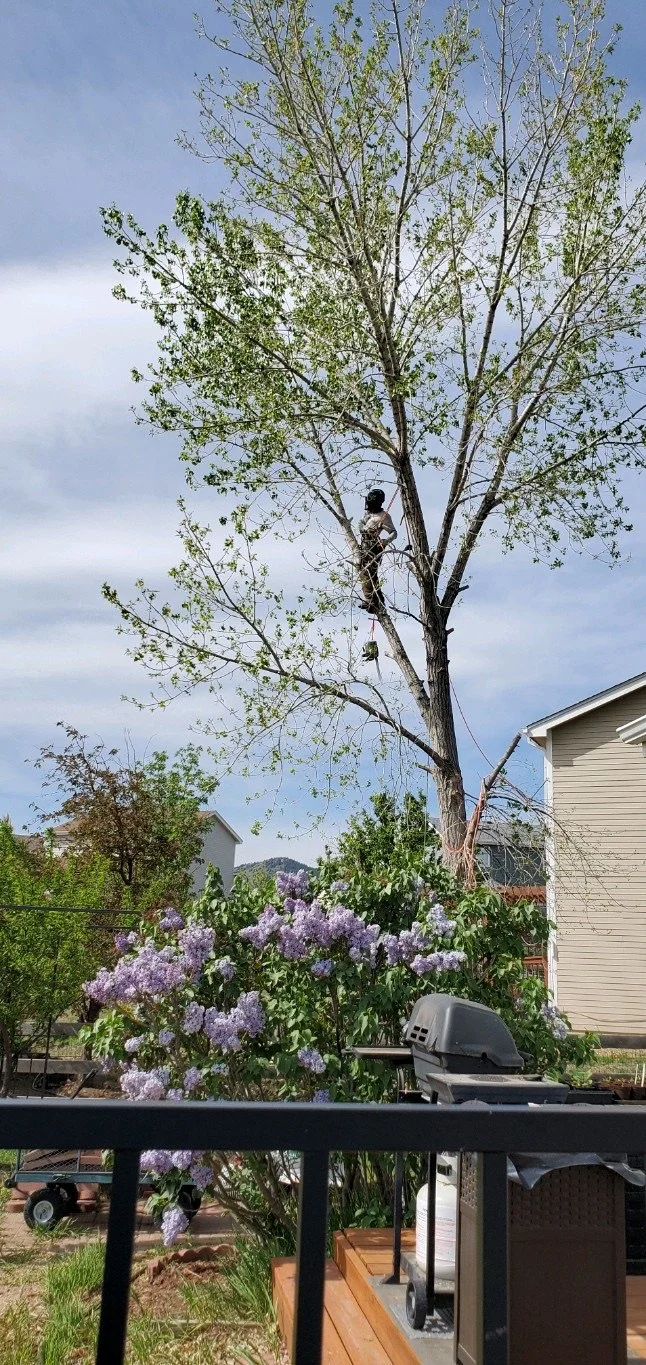 20220516_095811 2.JPG