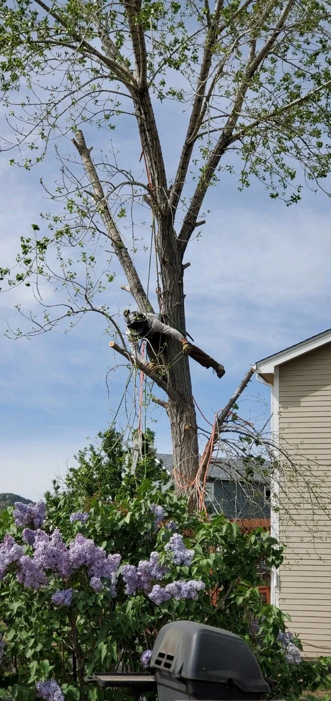 20220516_100801 2.JPG