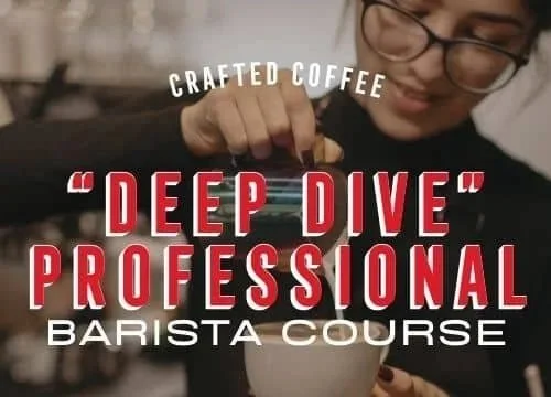 “Deep Dive” – Professional Barista Course 