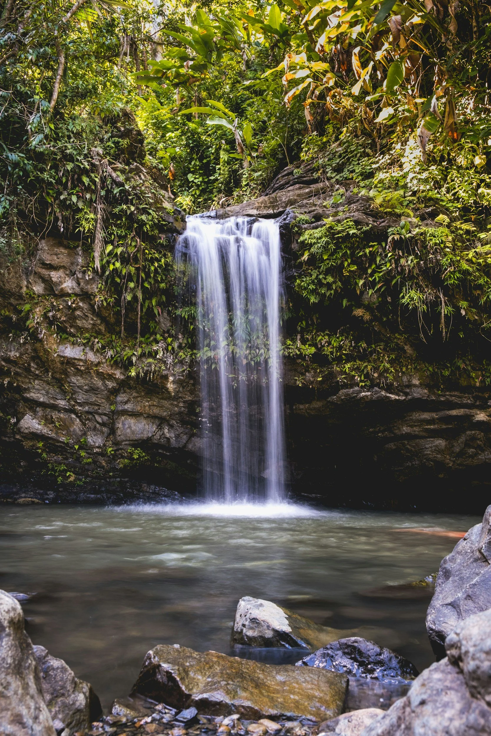 A small waterfall falling into a calm pool surrounded by rocks and lush green dense forest vegetation.