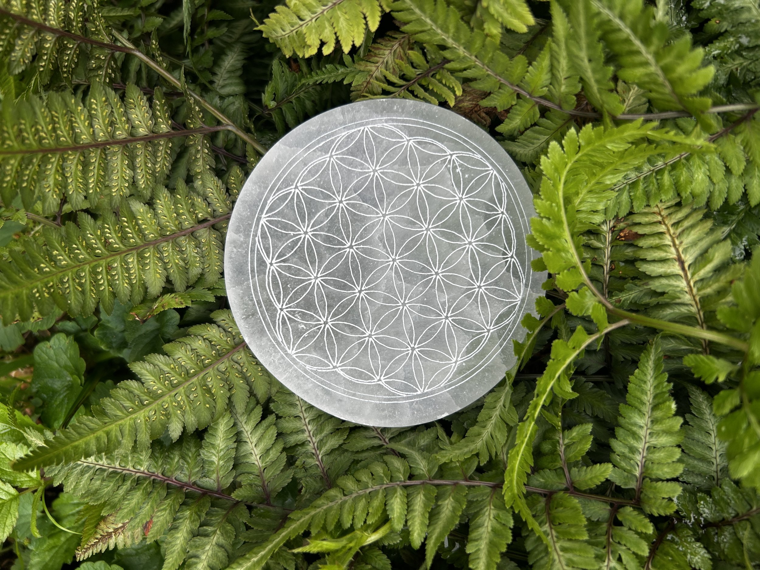 Flower of Life Coaster