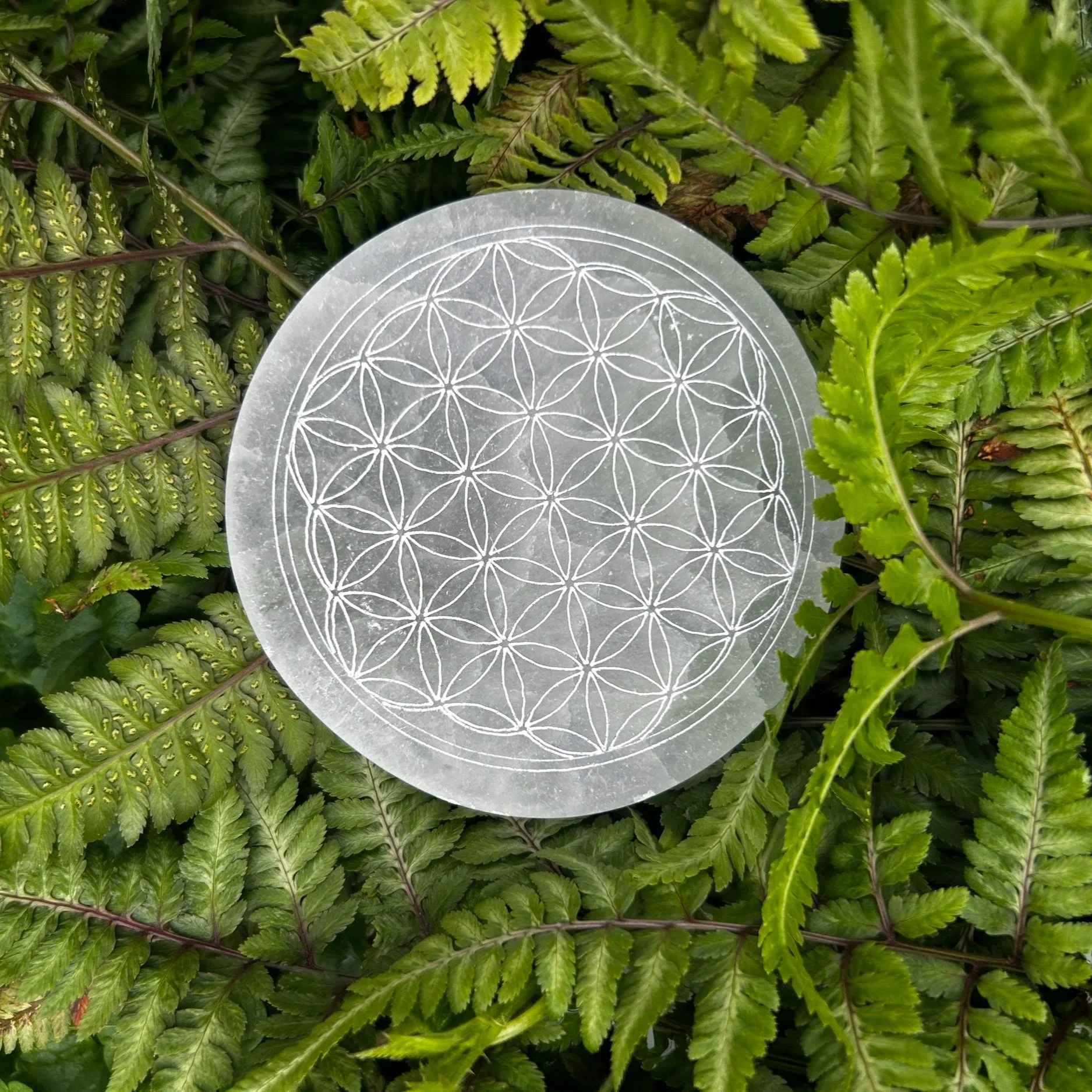 Flower of Life Coaster