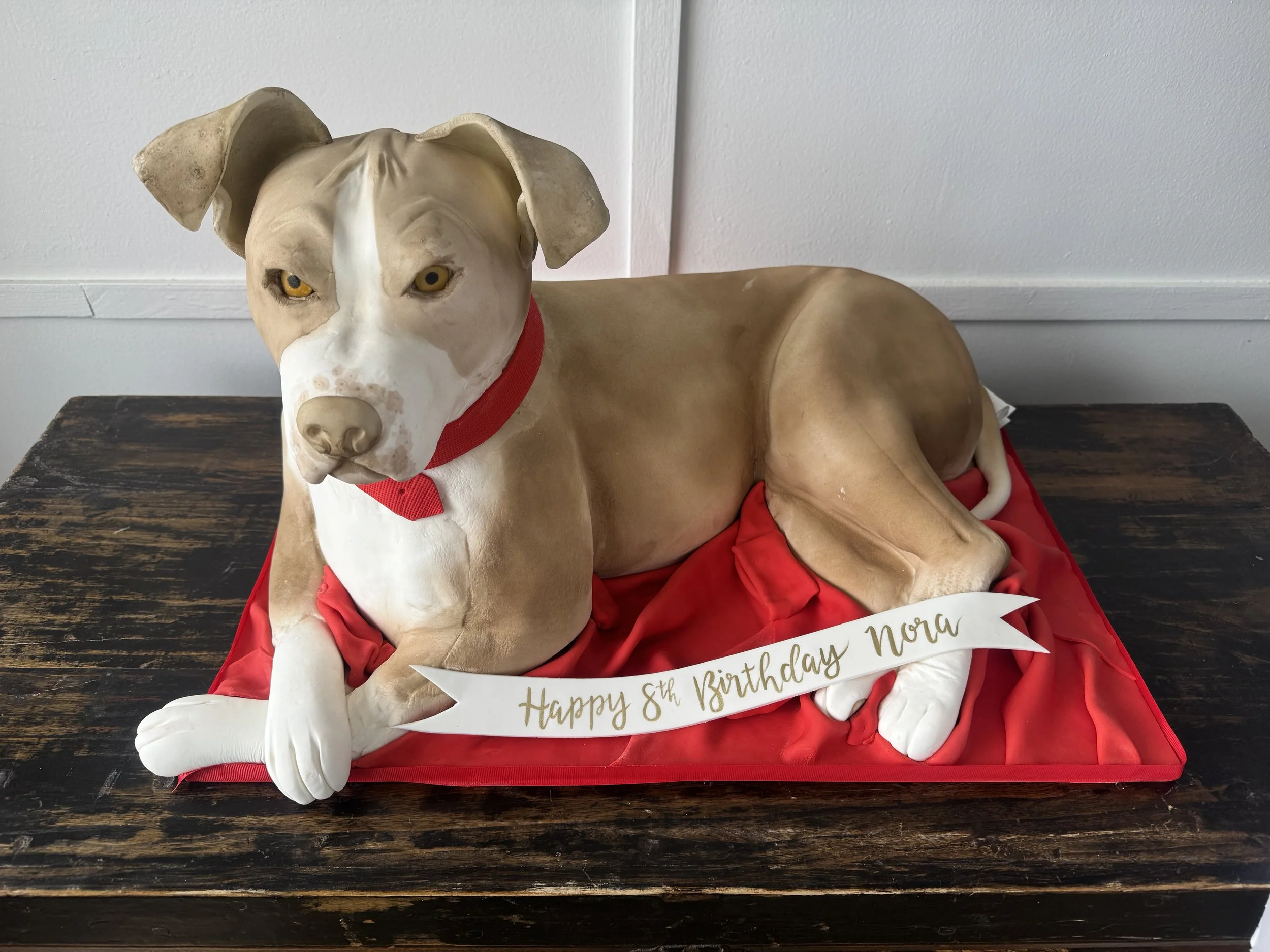 2025-02-02 13.24.54.jpg