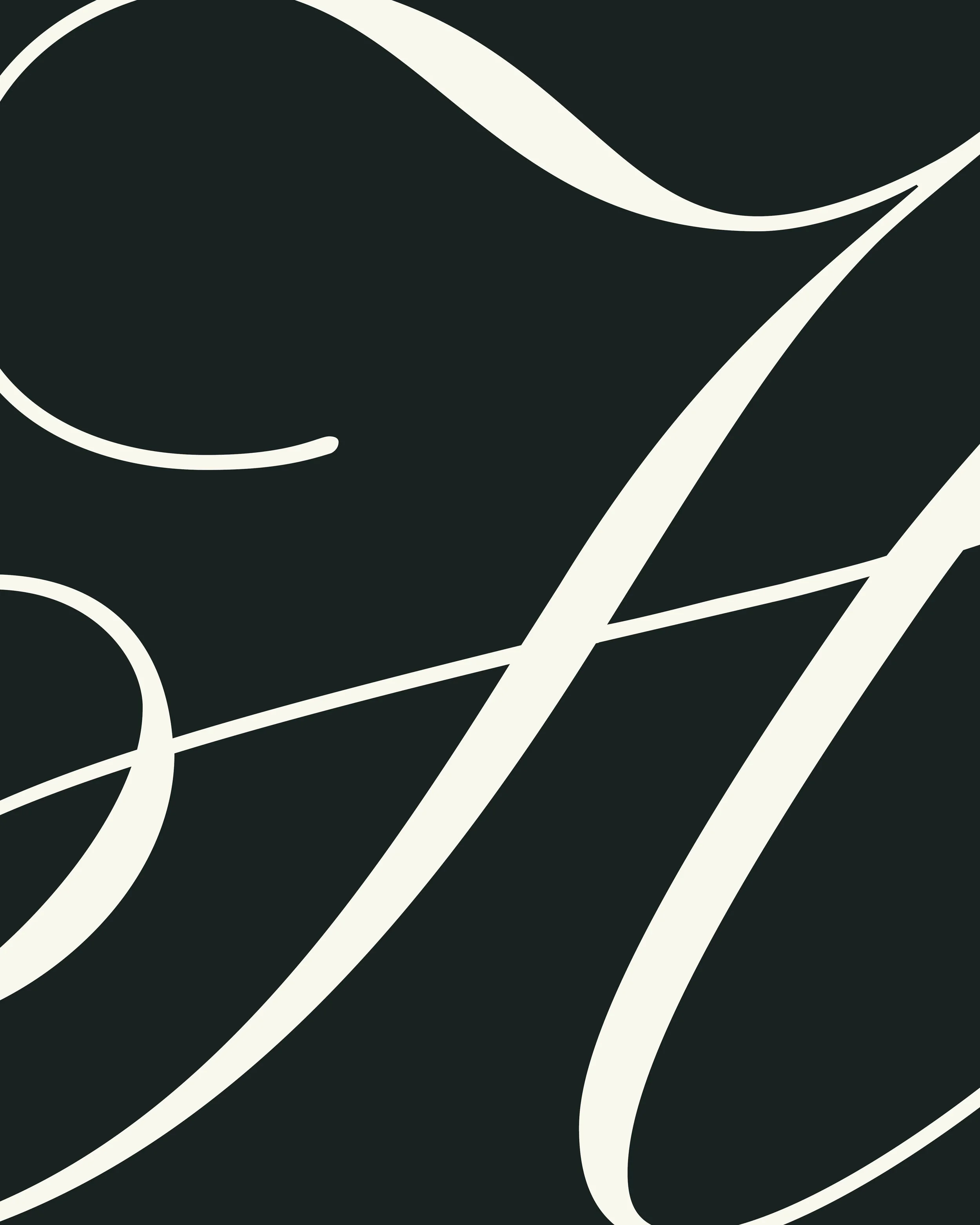 Abstract black and white artistic design with flowing lines and curves.