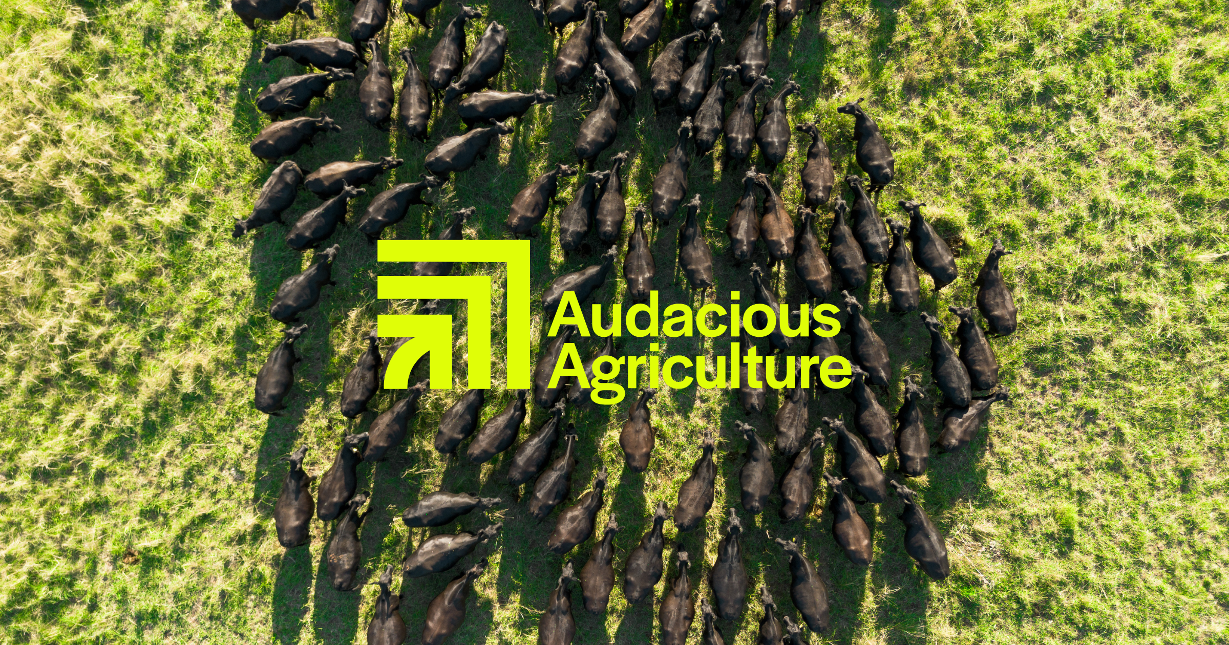 Audacious Agriculture