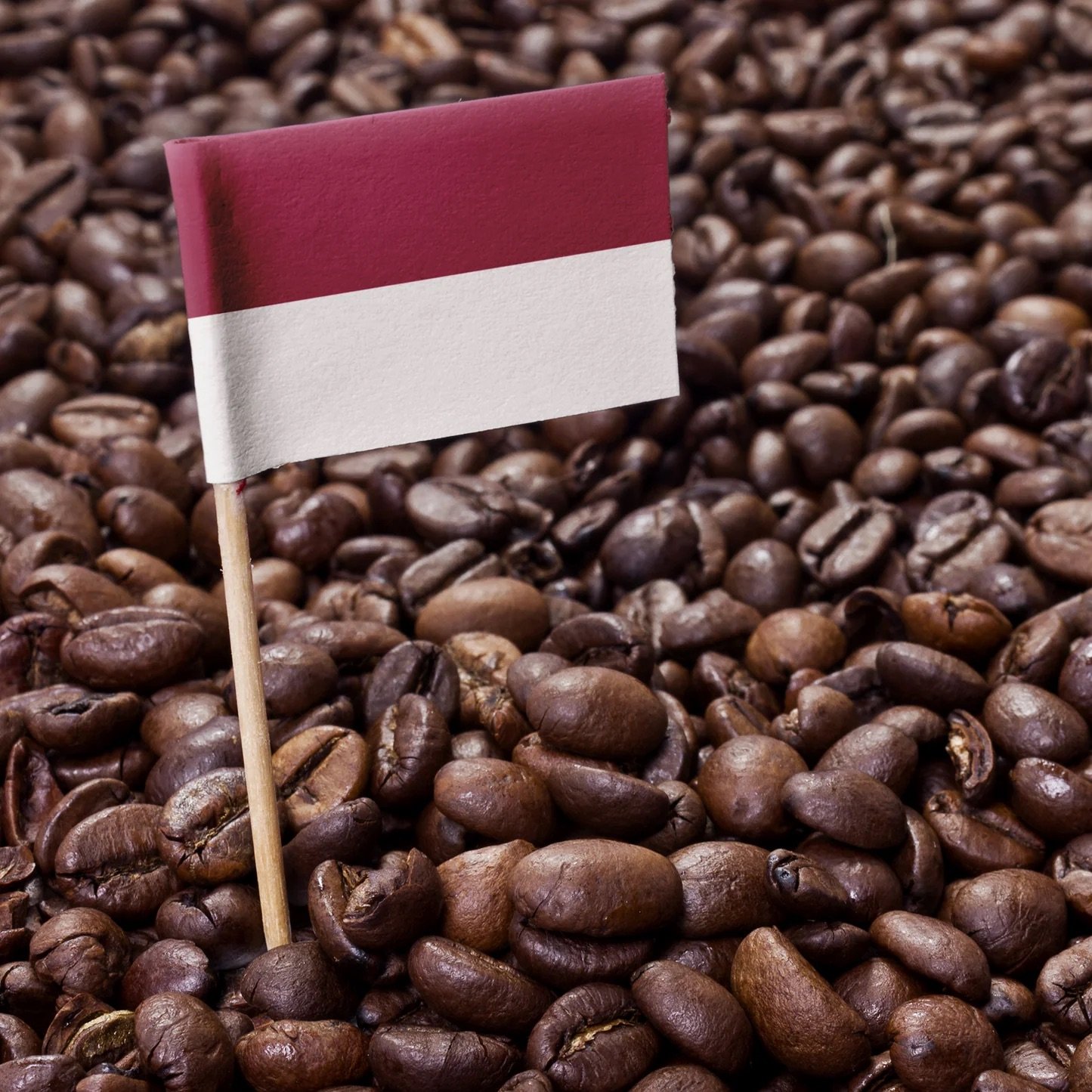 Sumatraflag_4db5cd24-7eae-44a4-99e8-7d57be86e403.jpeg