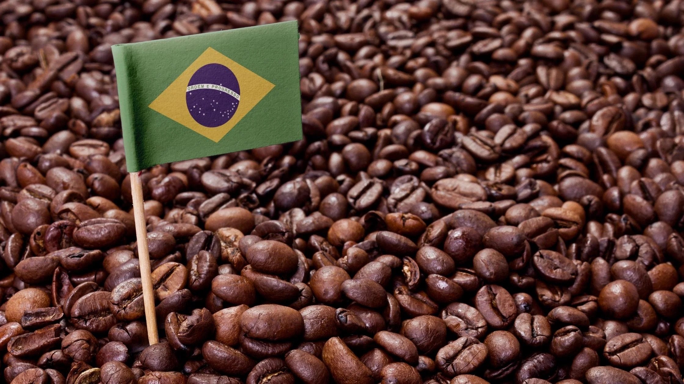 brazil-specialty-coffee.jpeg