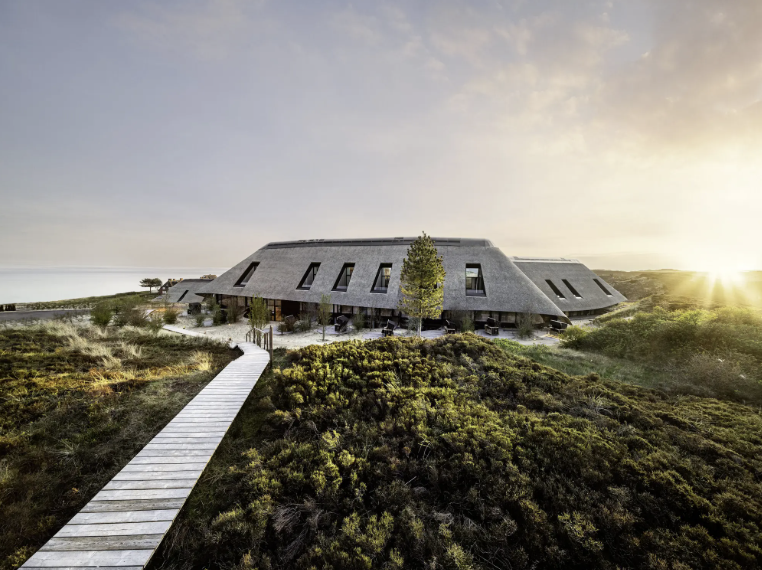 Screenshot 2025-08-15 at 8.09.11 AM.png