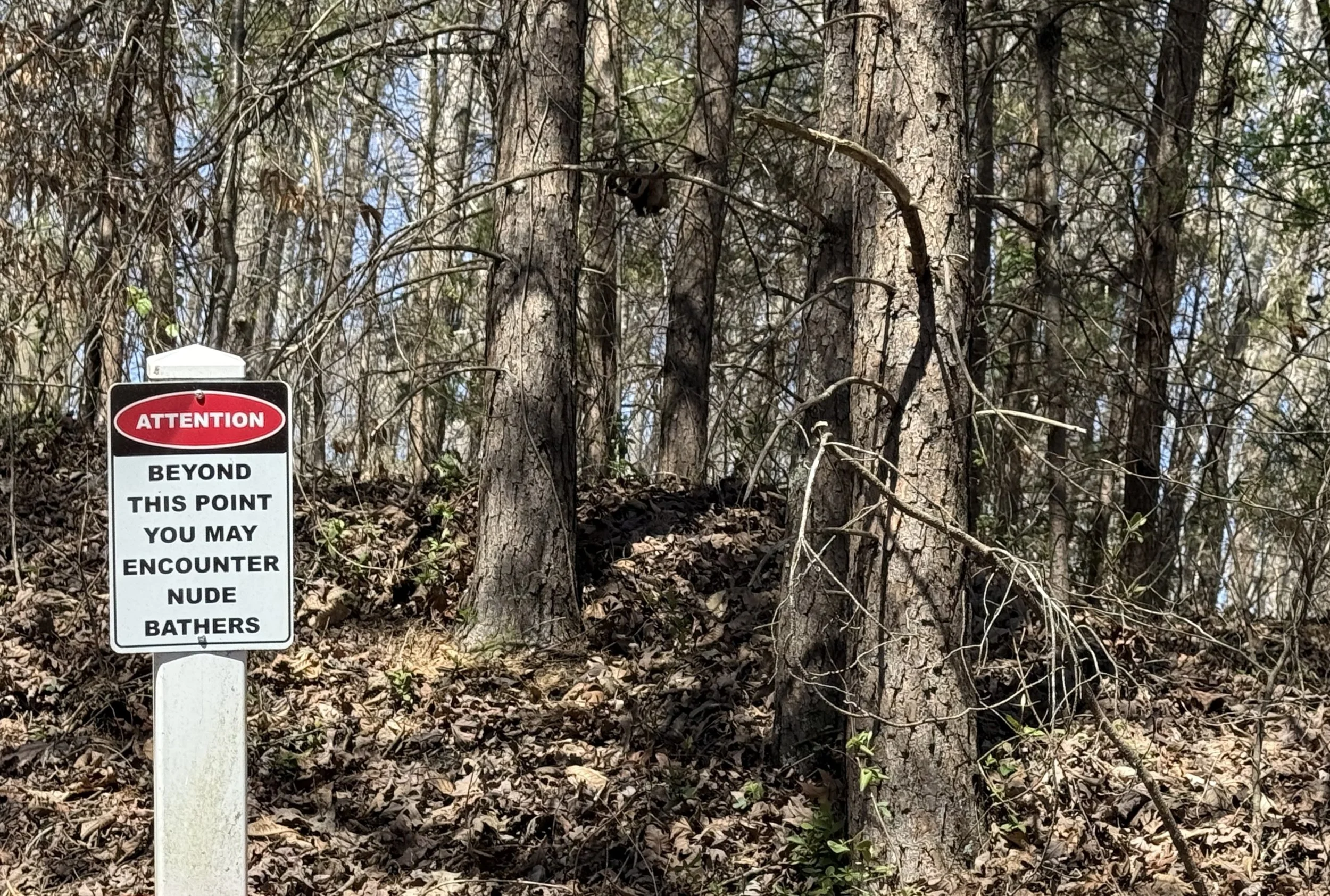 A warning sign in a wooded area reads, 'Attention. Beyond this point you may encounter nude bathers,' placed next to trees and dried leaves on the ground.