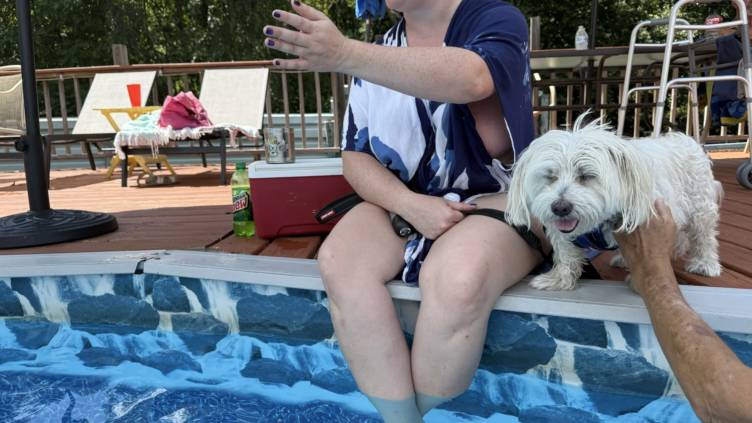 Person sitting on a poolside with a small white dog next to them, a picnic cooler, and a drink. The person is wearing a blue and white patterned shirt with visible fingernail polish. The dog looks happy with its tongue out, and there are lounge chair