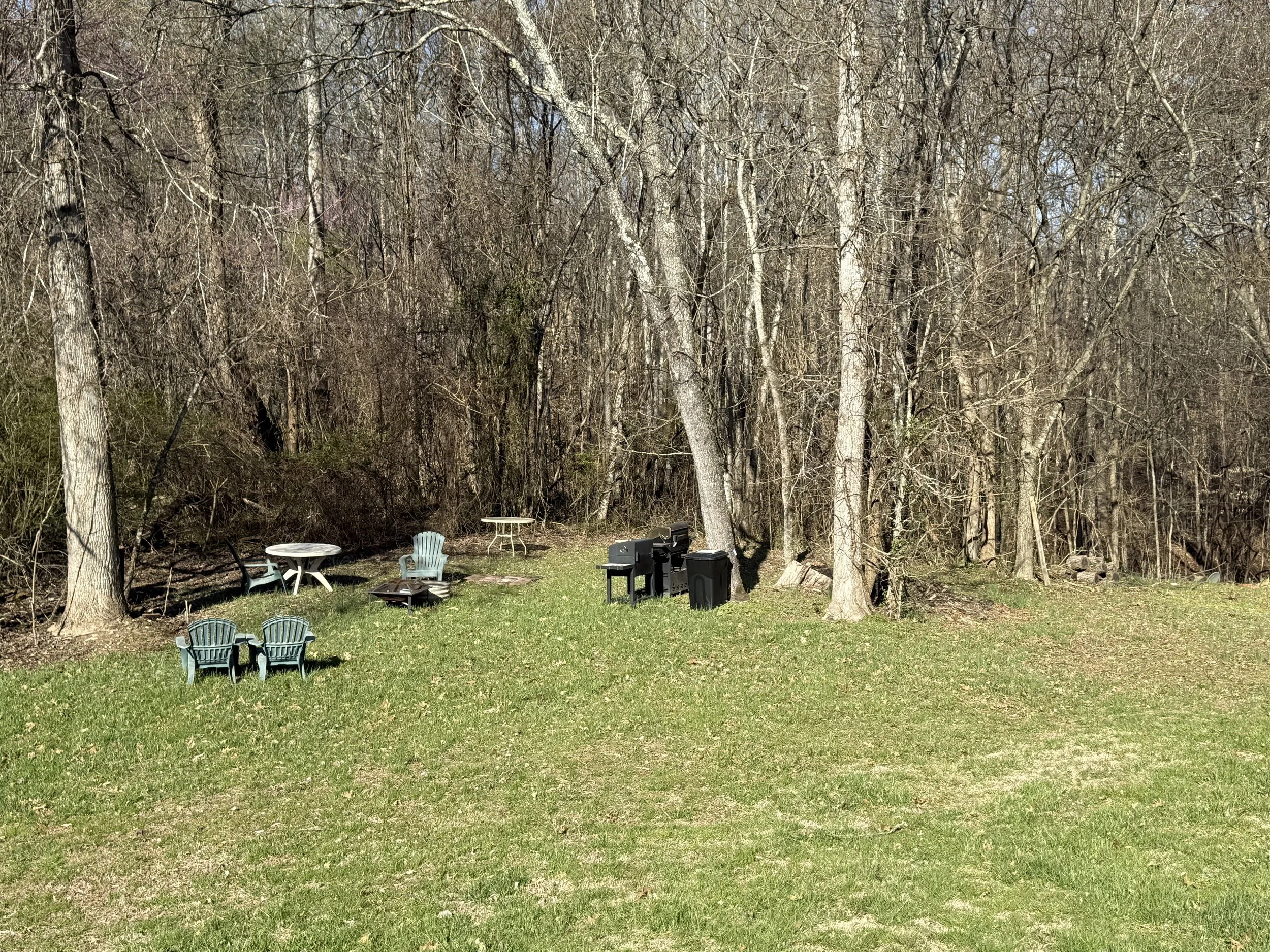 Backyard with outdoor furniture, including two Adirondack chairs, two small round tables, and a grill, bordered by leafless trees and a grassy lawn.