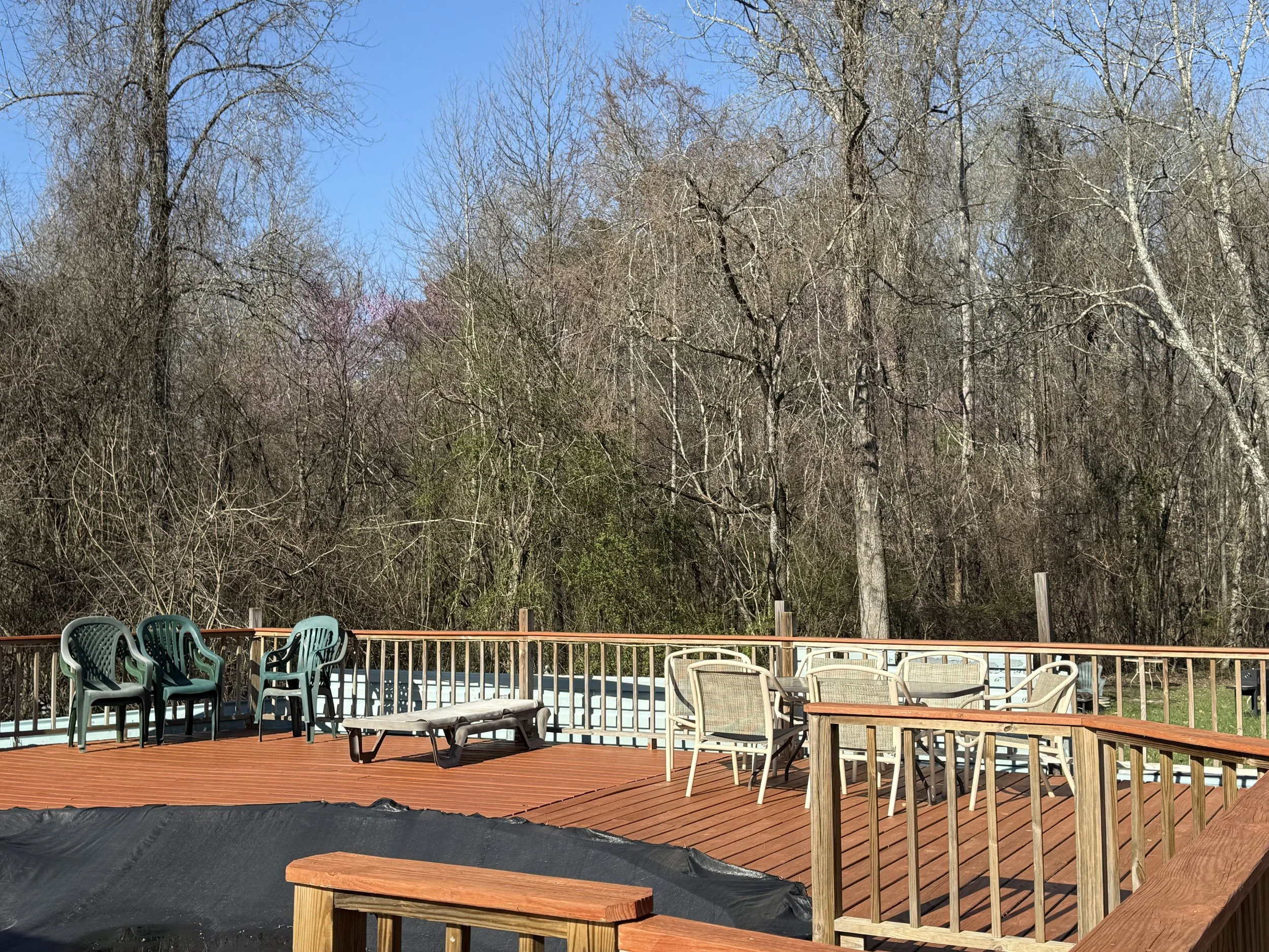 Backyard deck with chairs, a picnic table, and a black trampoline, overlooking a wooded area with leafless trees under a clear blue sky.