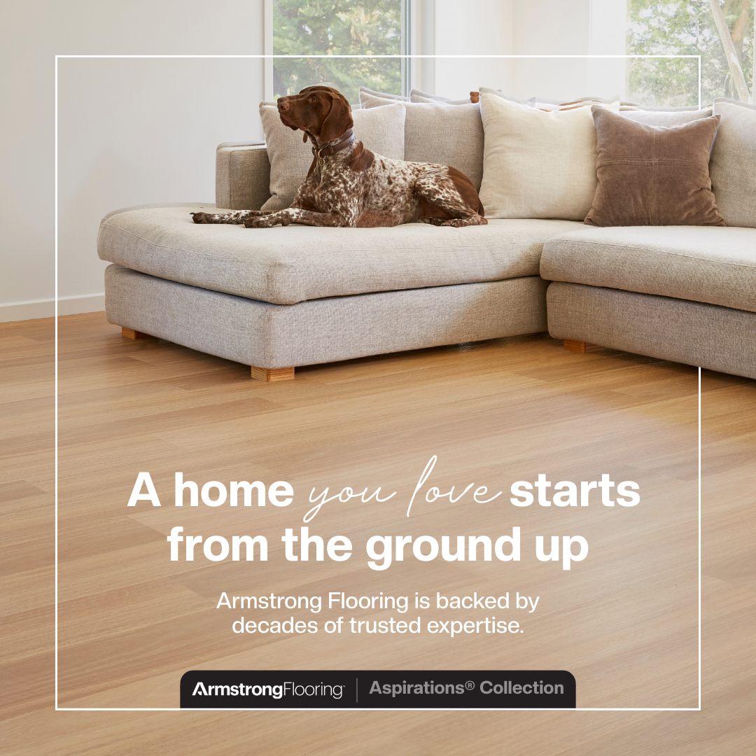 A dog lying on a light gray sectional sofa in a bright living room with wooden flooring and a window with greenery outside.
