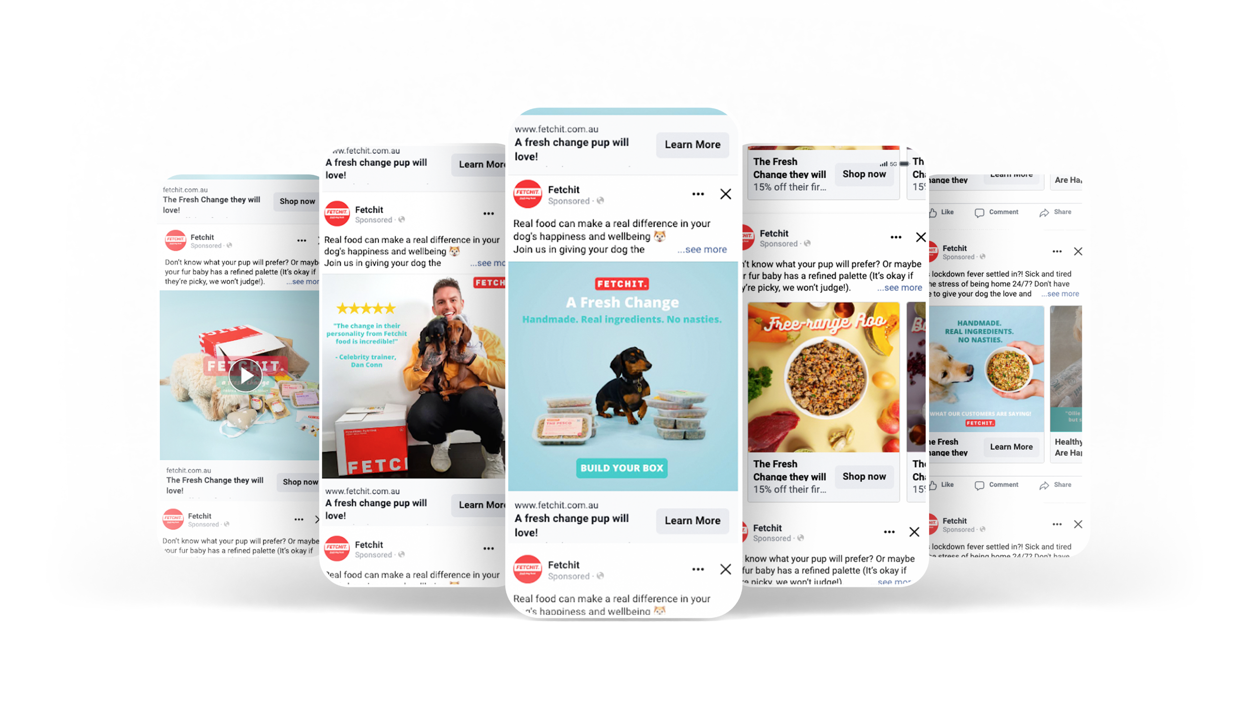 Digital collage of Fetchit pet food ads featuring dogs