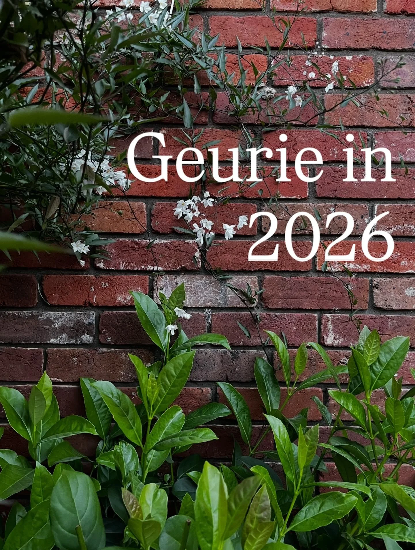 ✨ Help shape Geurie in 2026 ✨

As we look ahead to a new year, we&rsquo;d love to hear from you.
What information, stories or photos would you like to see more of on this page in 2026?

🏡 Local history?
📸 Old or new photos of Geurie?
📰 Community n