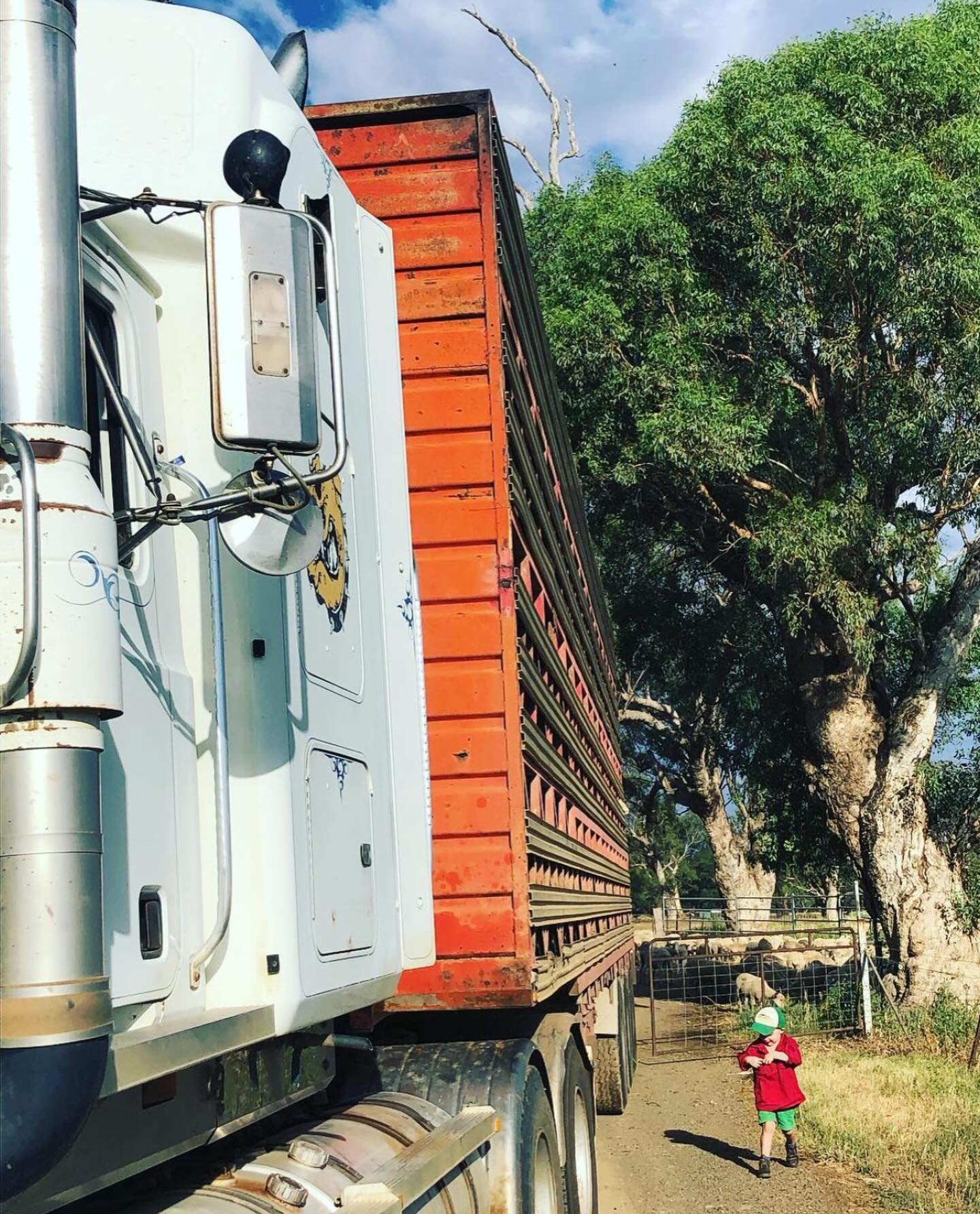 Geurie, being on the Mitchell Highway, is a great spot for trucks to stop for a quick bite, grab a shower at the pub (or stay the night) and the parking is easy &amp; plentiful for B-Doubles.

Here, this pic is a local grazier and his truck carrying 