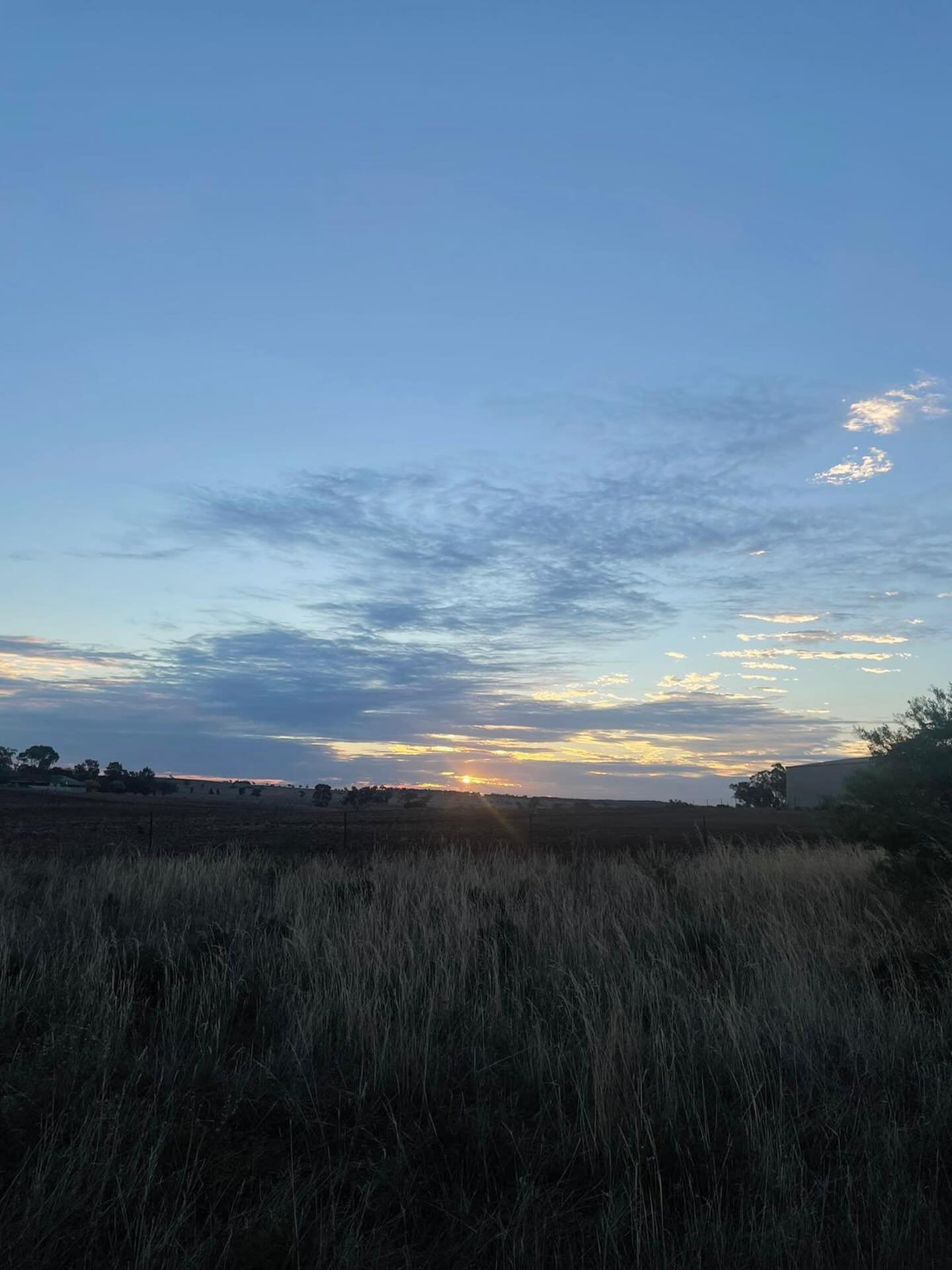 The village stands as the centre of the map, but the heart beats out in the fields beyond it.

This capture by Jasmine W is stunning. 

Grasses, trees, open sky. #geurie