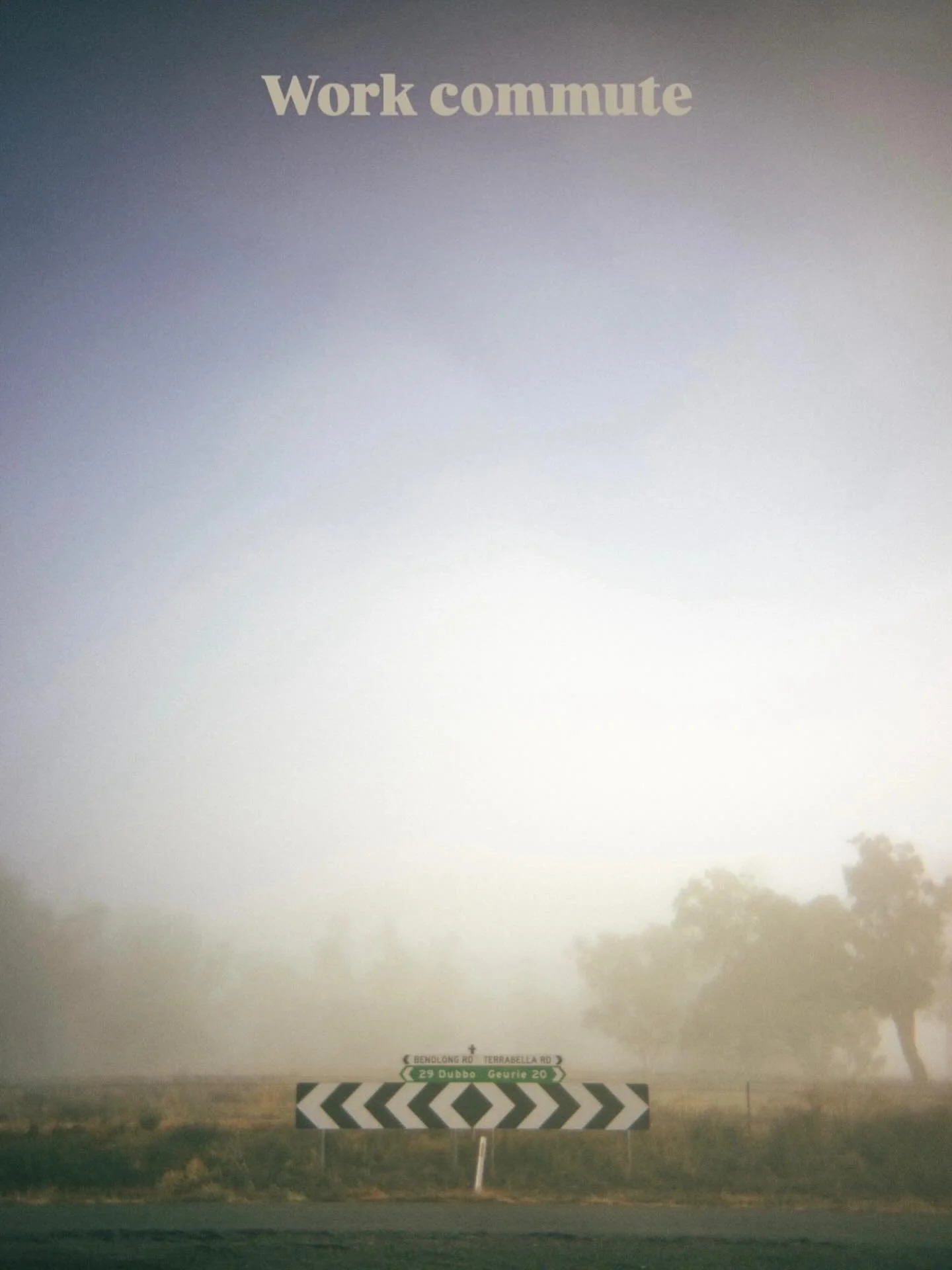 Glorious capture of the morning commute 📸 @guydee 

Beautiful time of year. 

#fog #geurie #autumn