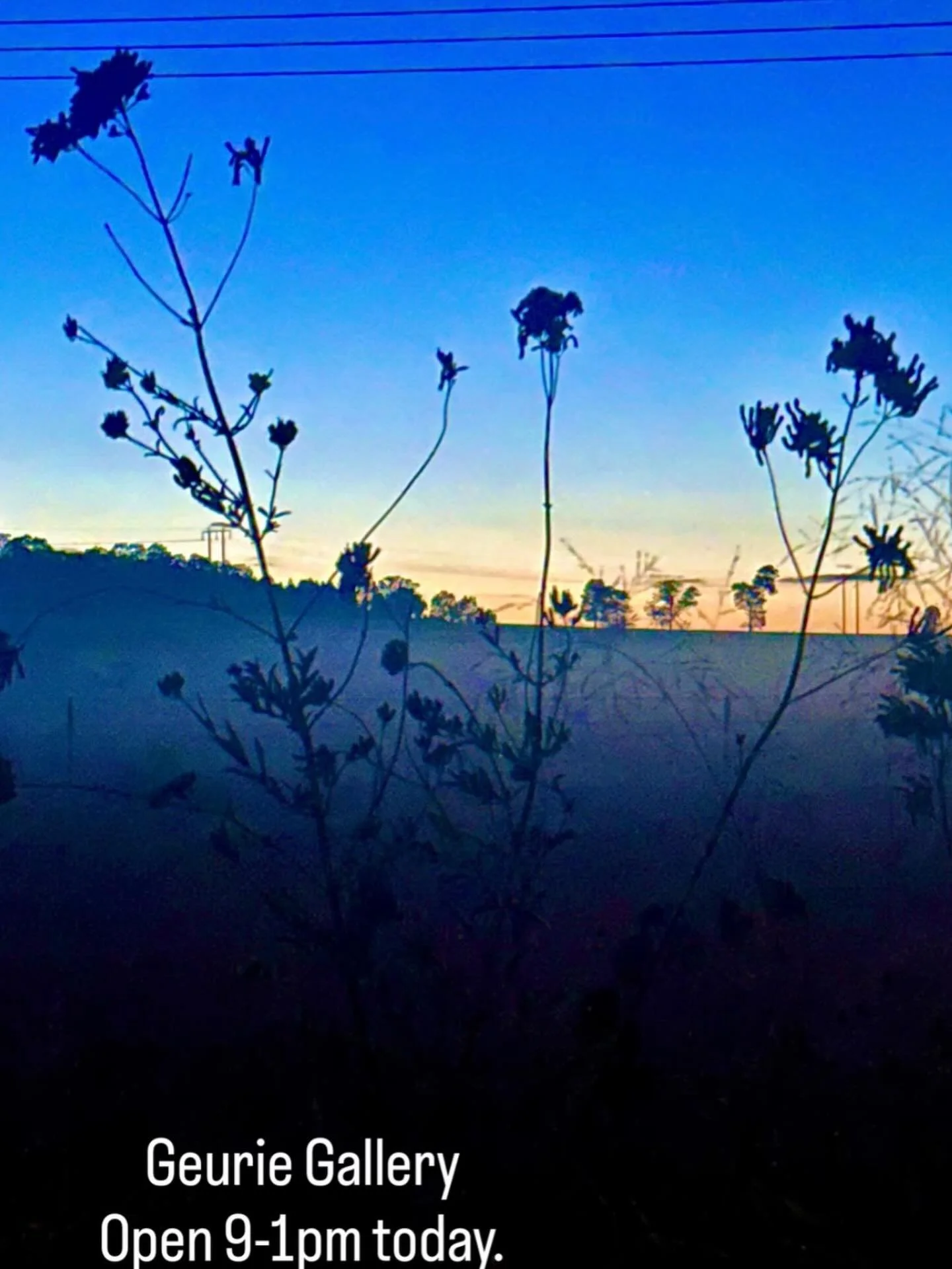 The fog there continues&hellip; glorious @jacintahaycock_artist is open for all Mothers Day gifts!
