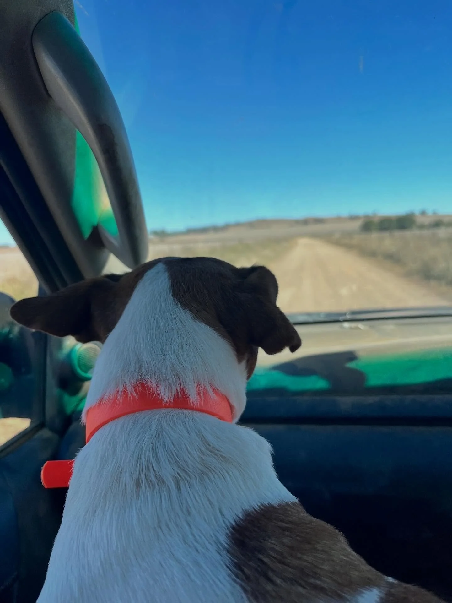 Back roads around Geurie&hellip;. Magic time of year for a slow country drive. Dirt roads &amp; blue skies &amp; wide open plans. 

When was the last time you had an old fashioned family drive &amp; popped into @mitchell_inn_geurie &hellip; enjoy a c
