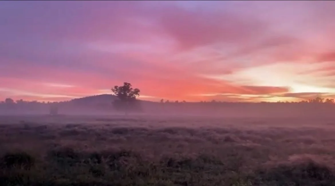 This time of year brings foggy mornings, stunning sunrises &amp; anywhere with the mighty Bald Hall in the background is a beaut picture. 

Commonly known as the &ldquo;Monks Head&rdquo;, Bald Hill is a very special local landmark.

Do you know anyth