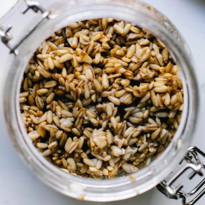 Gansu Fermented Naked Oats |  甜醅子