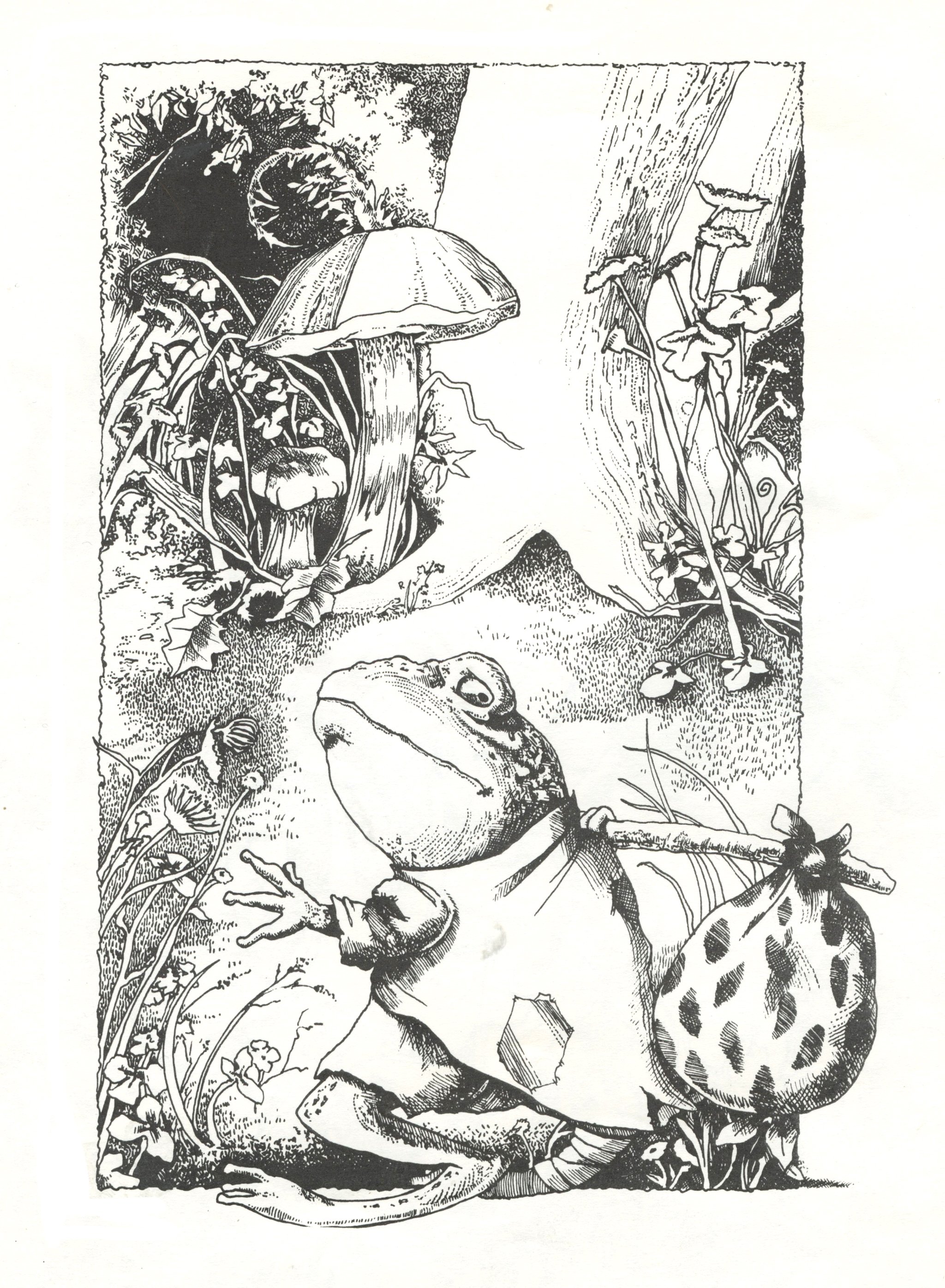 'Mr. Toad Steps on a Thorn' (self-published book illustration, 1991)