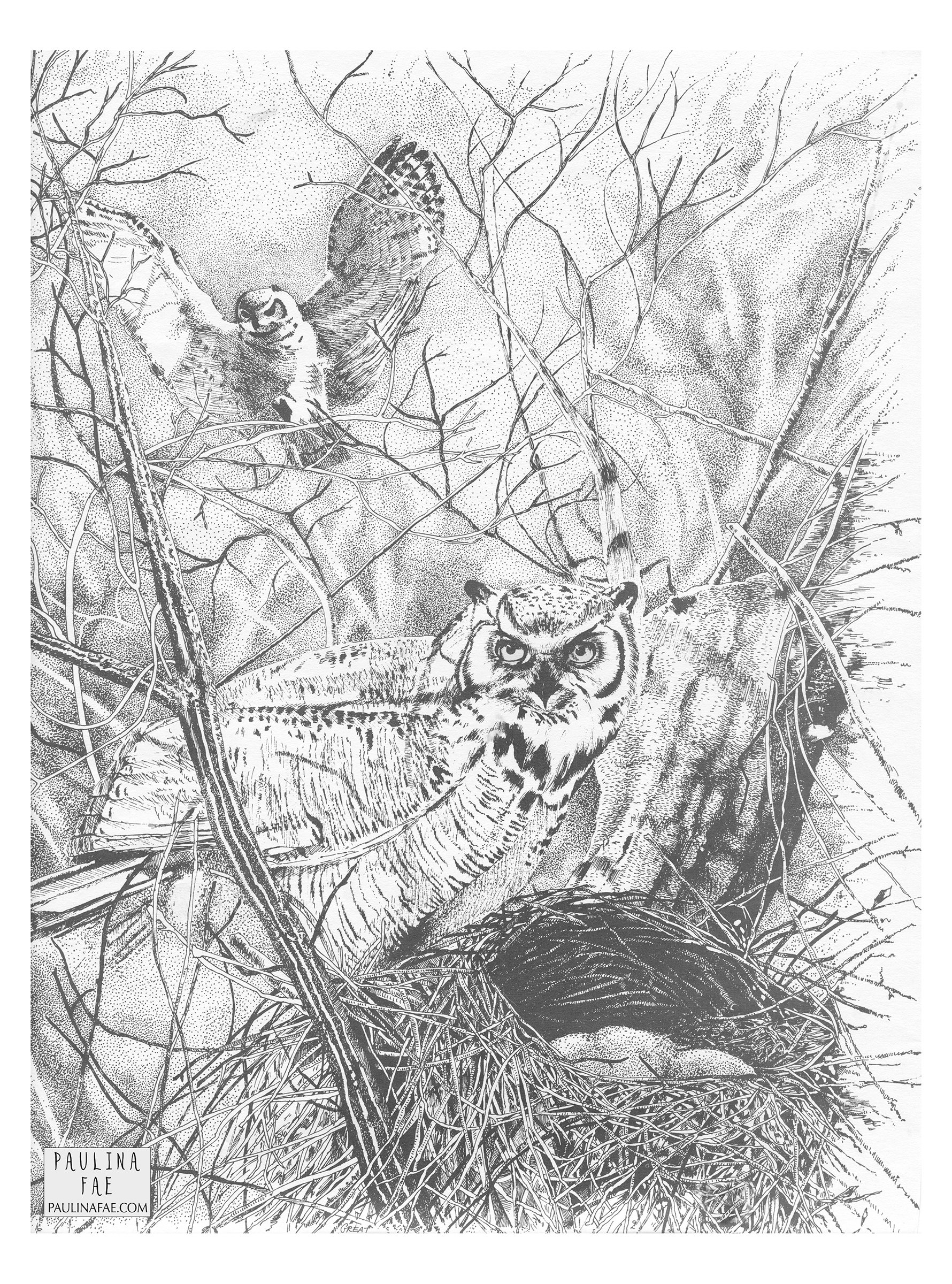 'Owls' (calendar art, 1991)