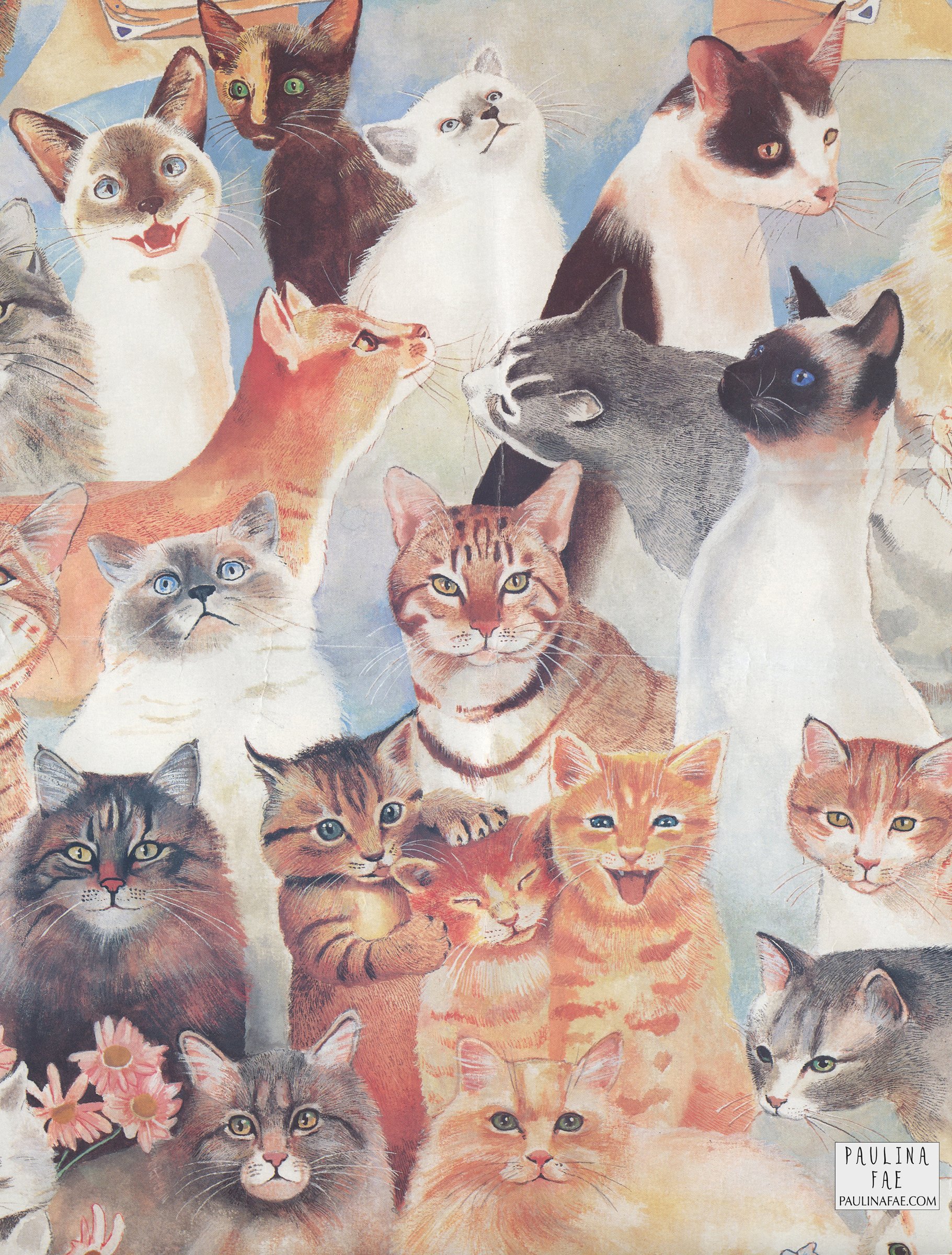 'Year of the Cat' (detail: Toronto Humane Society Poster 1992)