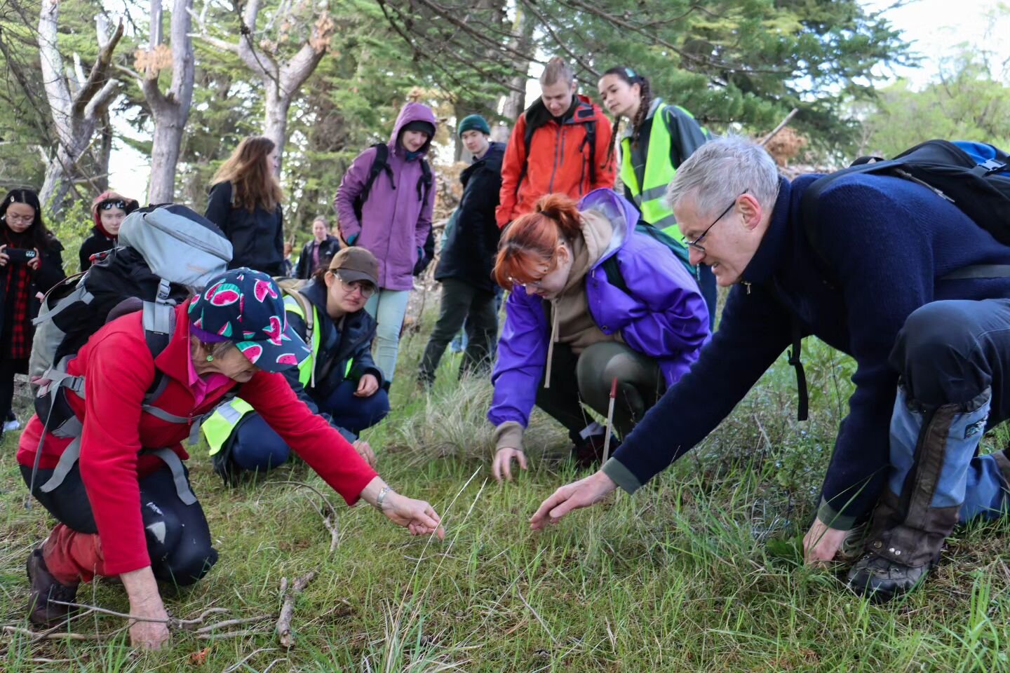 Quail Island trip with @forestandbird @forestbirdyouth_chch and @biosoc.uc