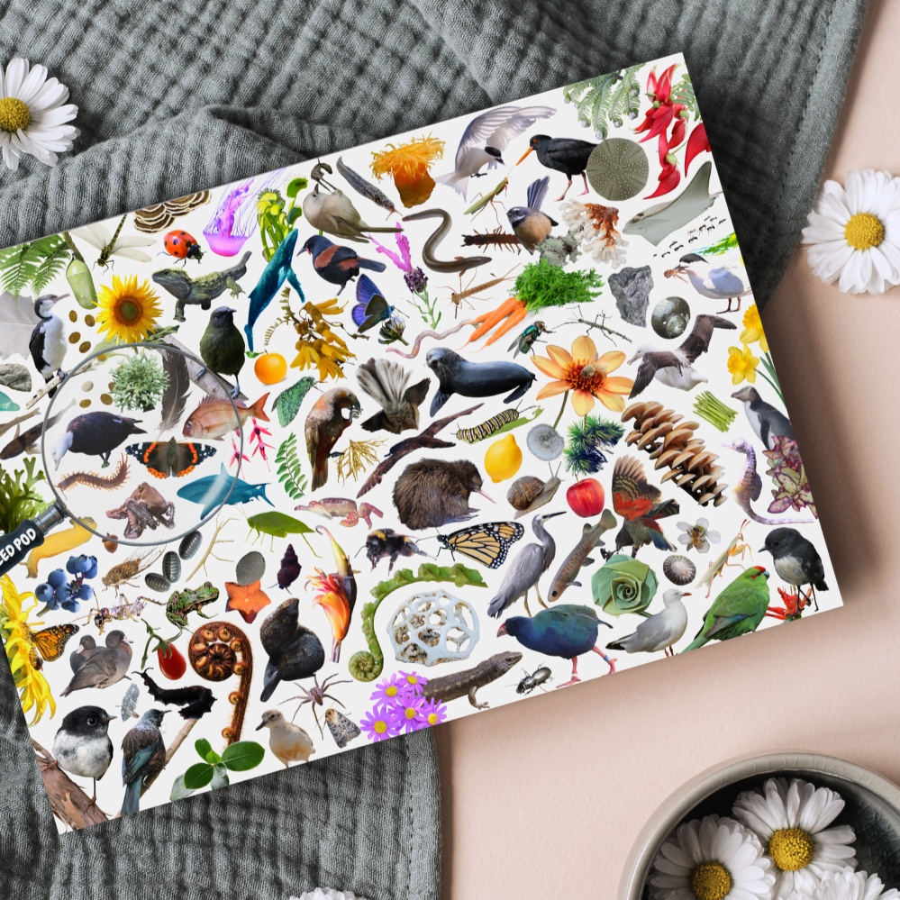 Nature I-Spy