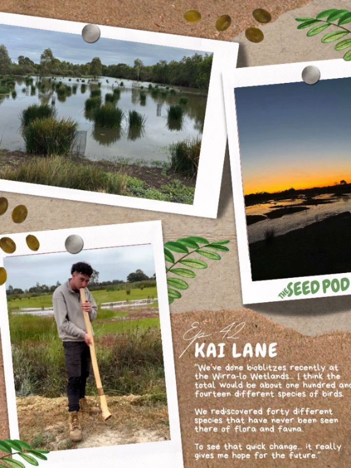 &ldquo;We&rsquo;ve done bioblitzes recently at the Wirra-lo Wetlands... I think the total would be about one hundred and fourteen different species of birds.

We rediscovered forty different species that have never been seen there of flora and fauna.