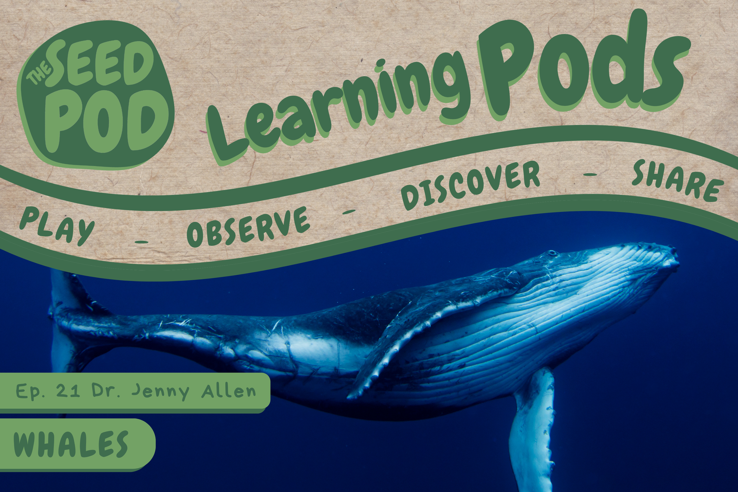 Whales